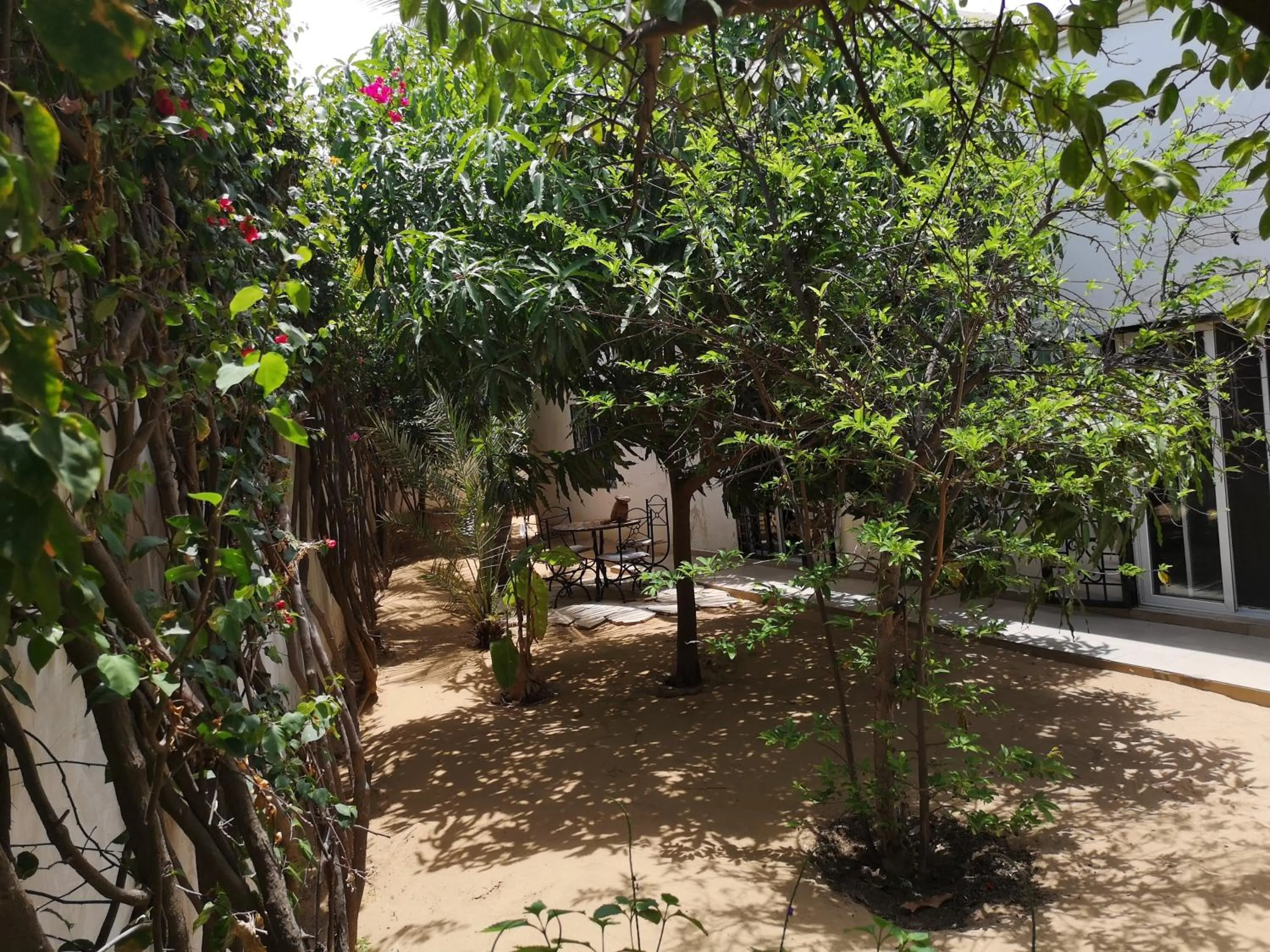 Garden in Keur Baboune