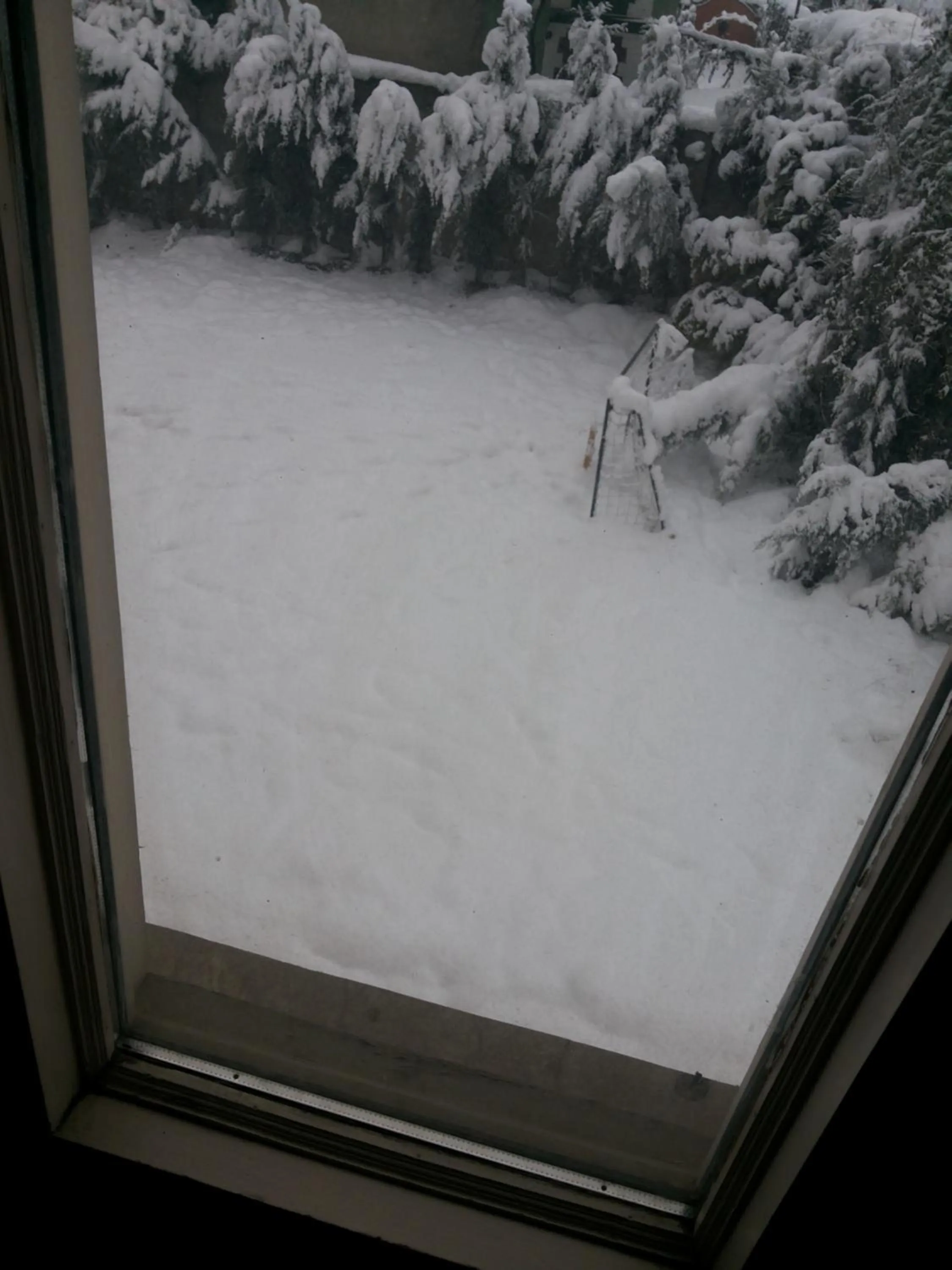 Garden in The GoodFind Residency