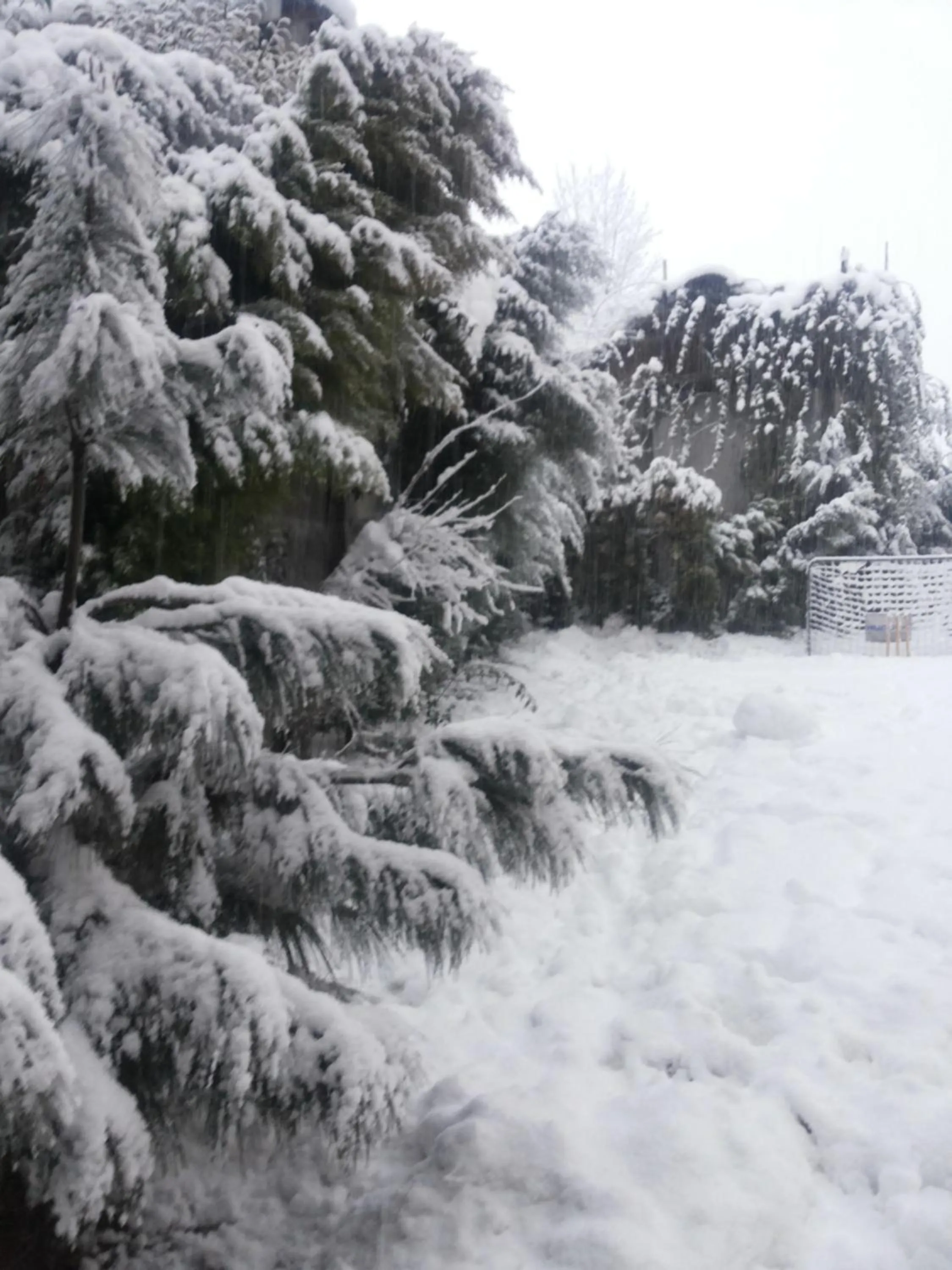 Property building in The GoodFind Residency