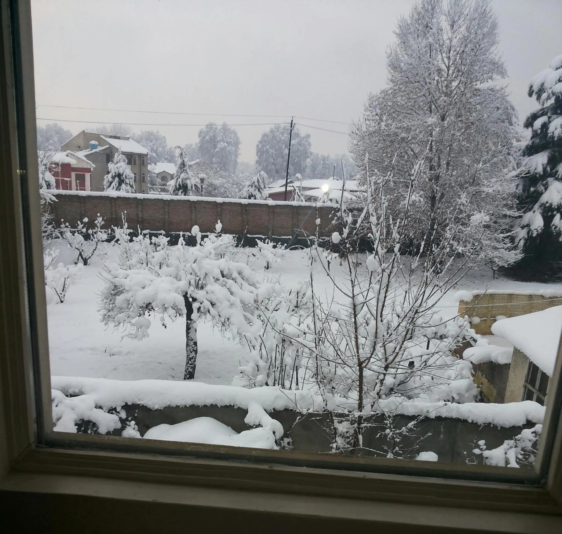 Garden in The GoodFind Residency