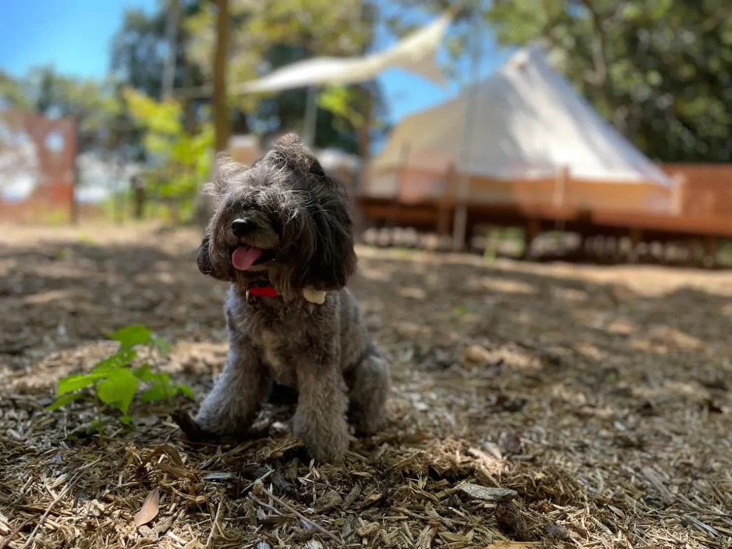 COUSCOUS Glamping Manazuru