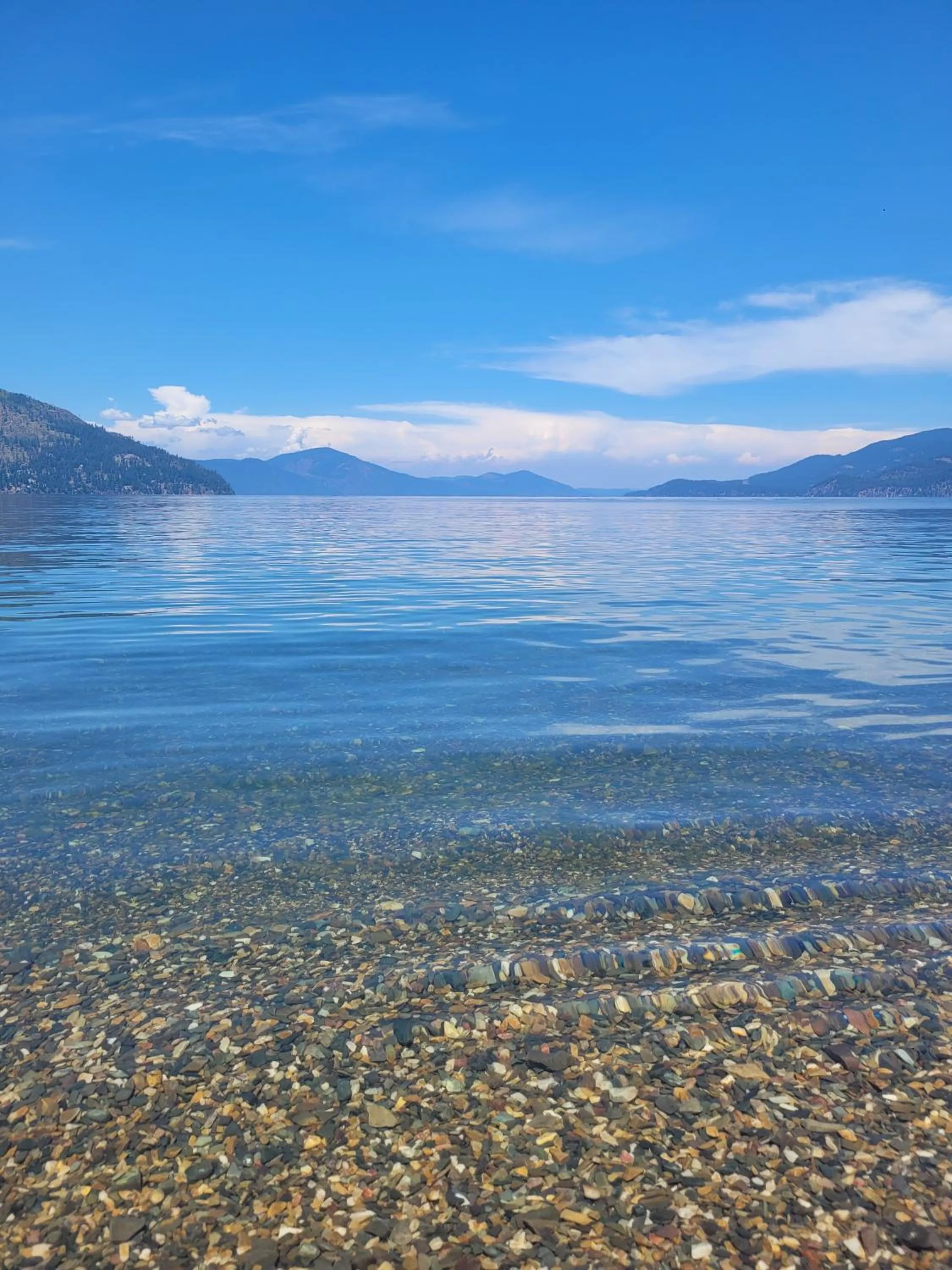 Area and facilities in SpringHill Suites by Marriott Sandpoint