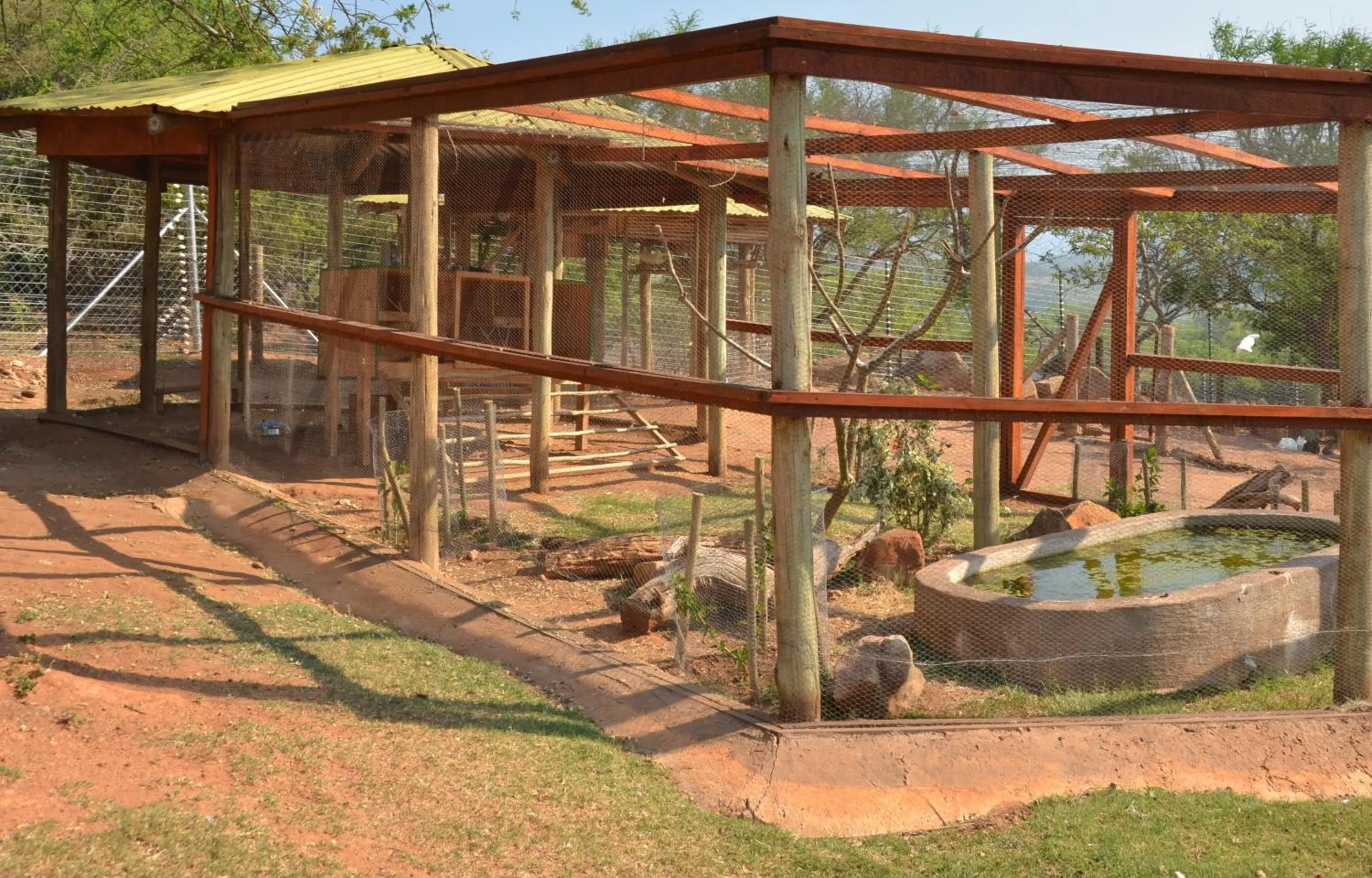 Pets in eBundu Lodge