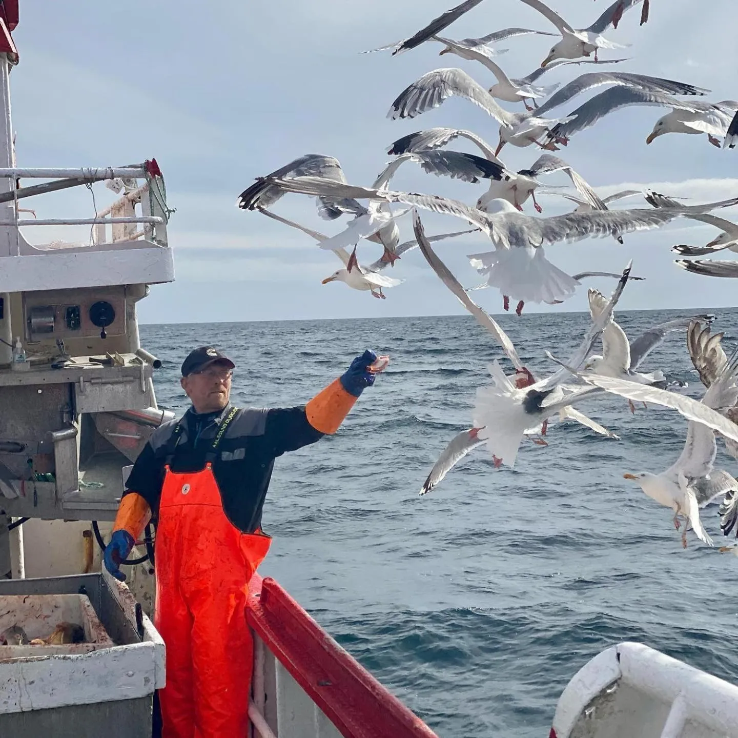 Fishing in Sjøstrand Rorbuer