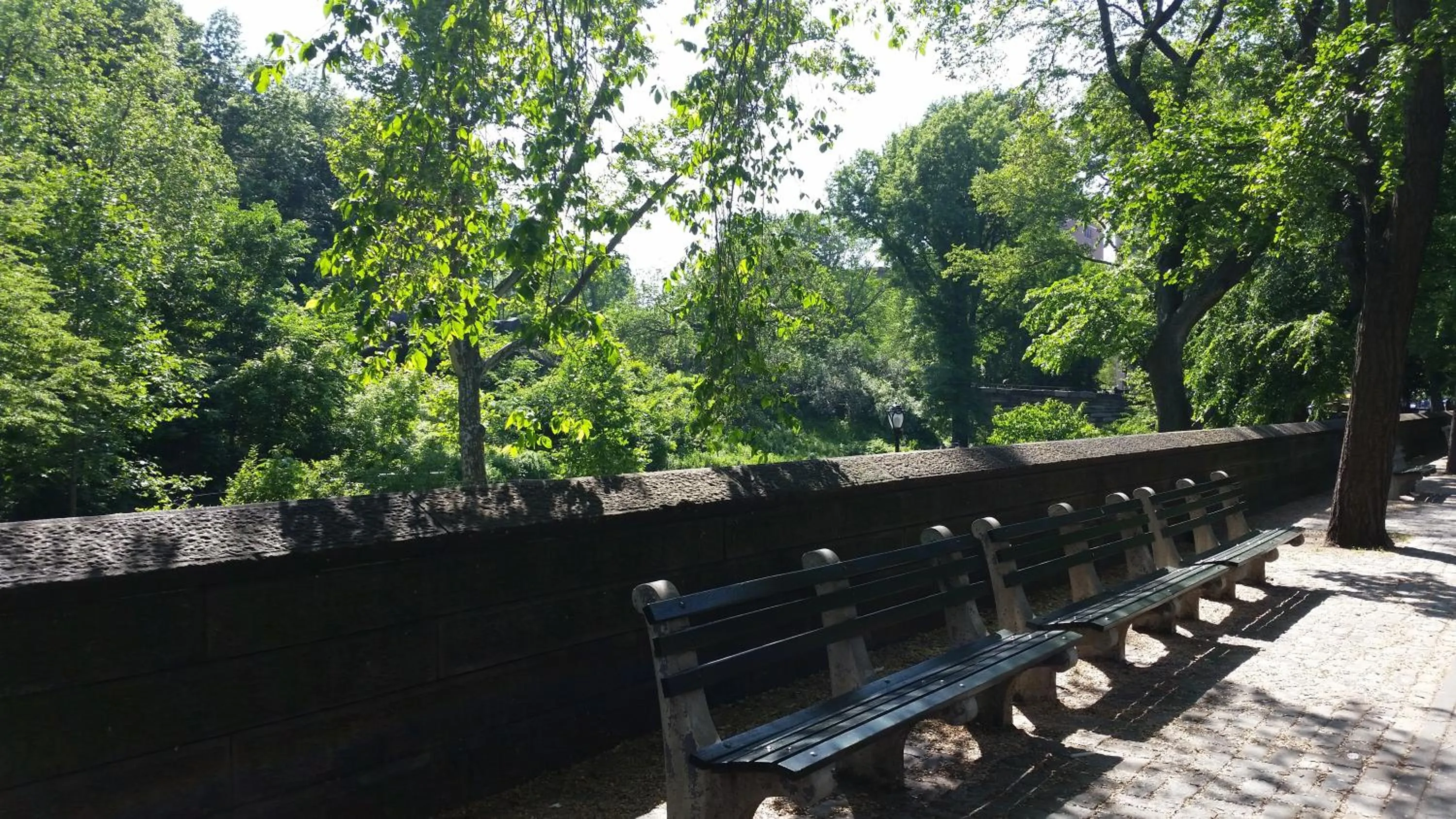 Area and facilities in The Central Park North