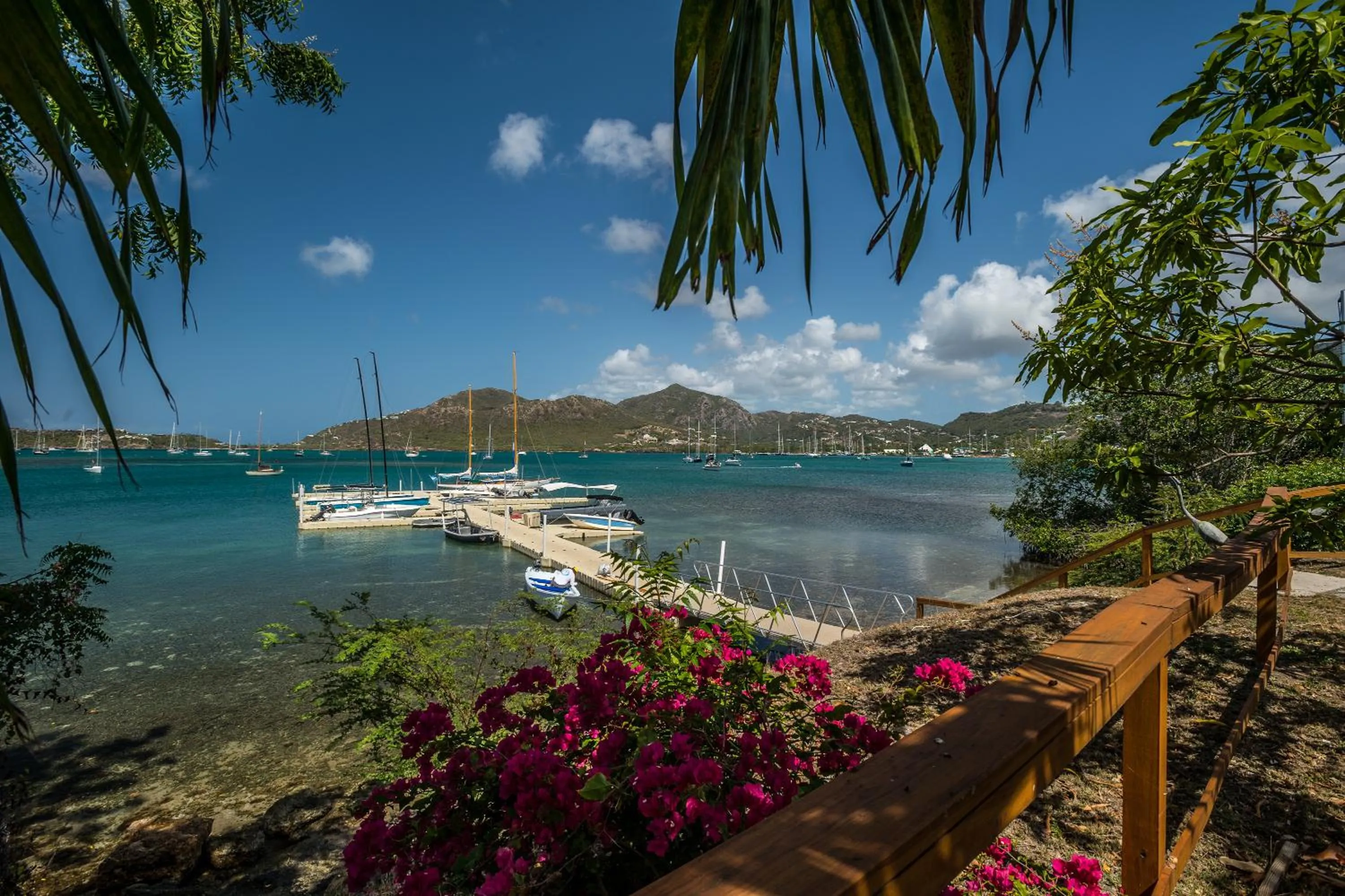 Spring in The Lodge - Antigua