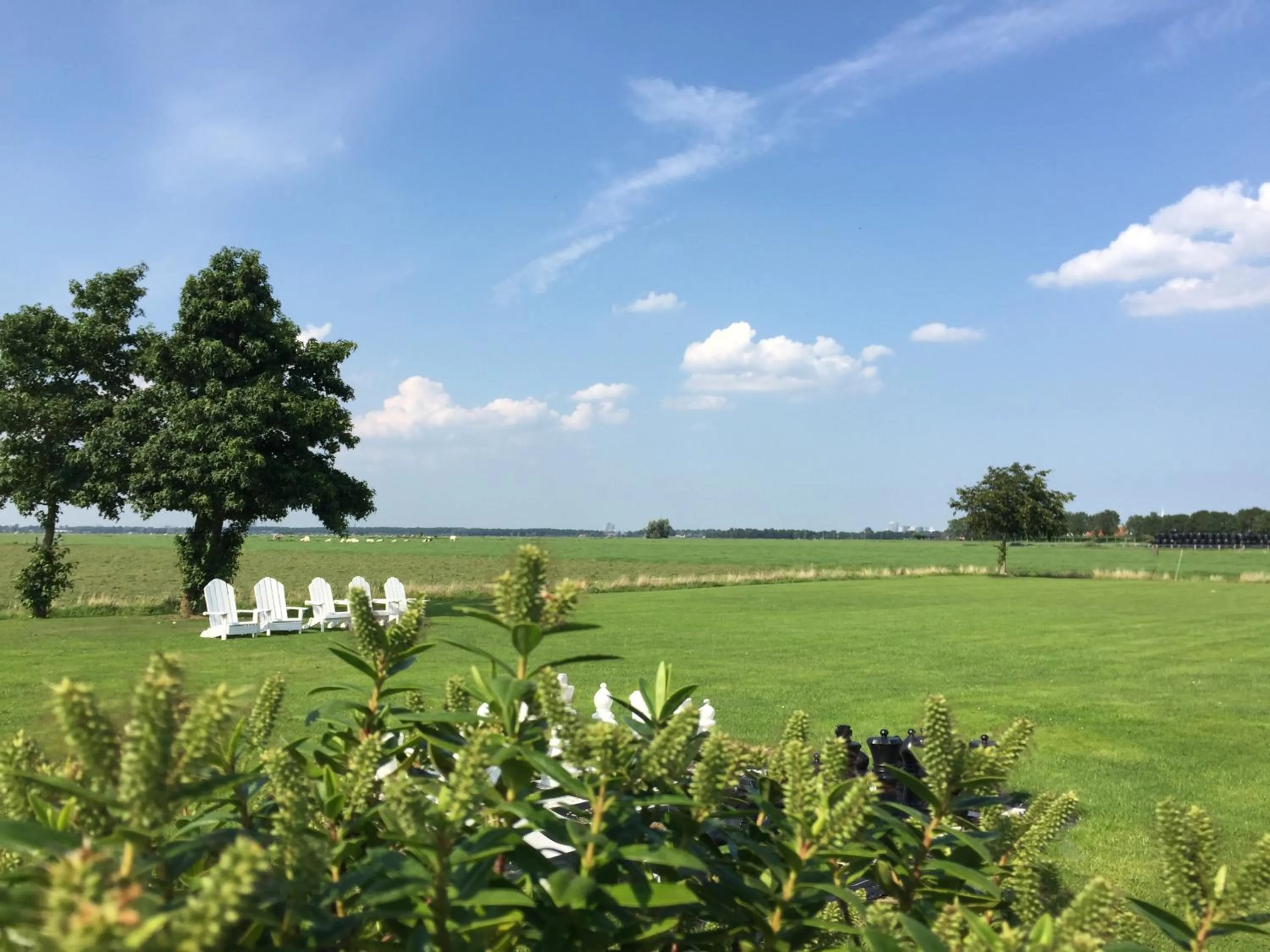 Property building in The Waverly House