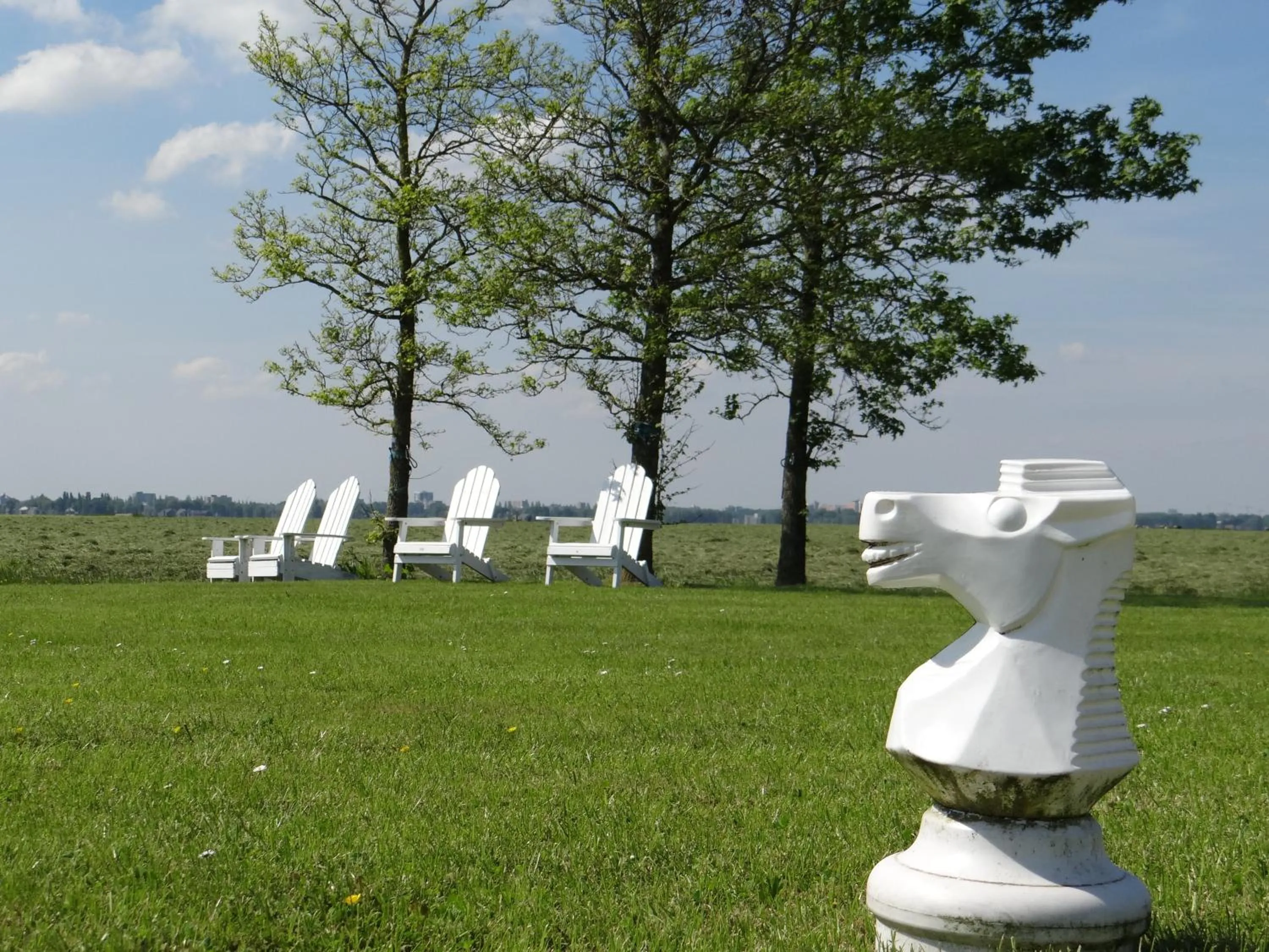 Garden in The Waverly House