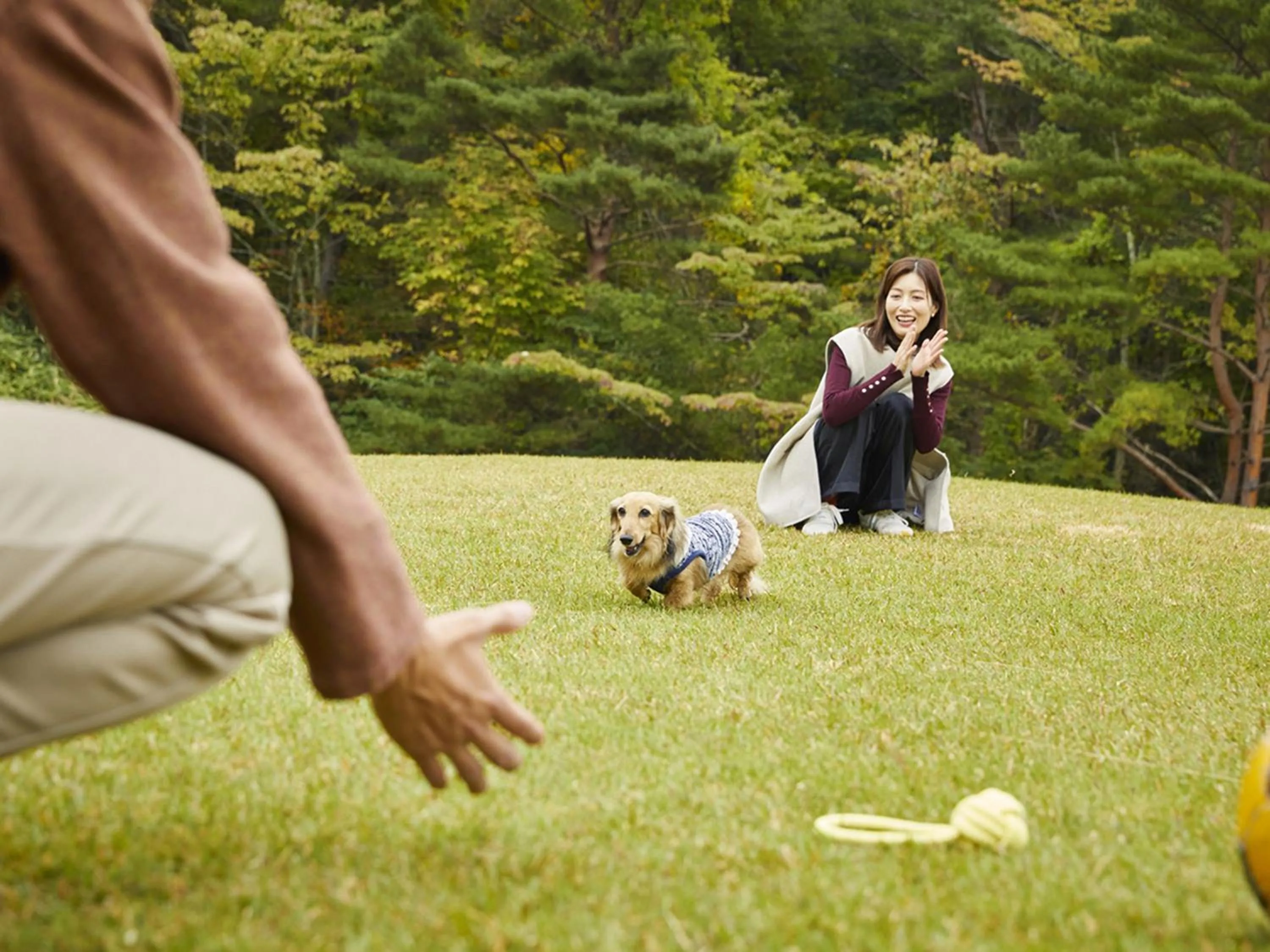 Natural landscape in Tsumagoi Prince Hotel