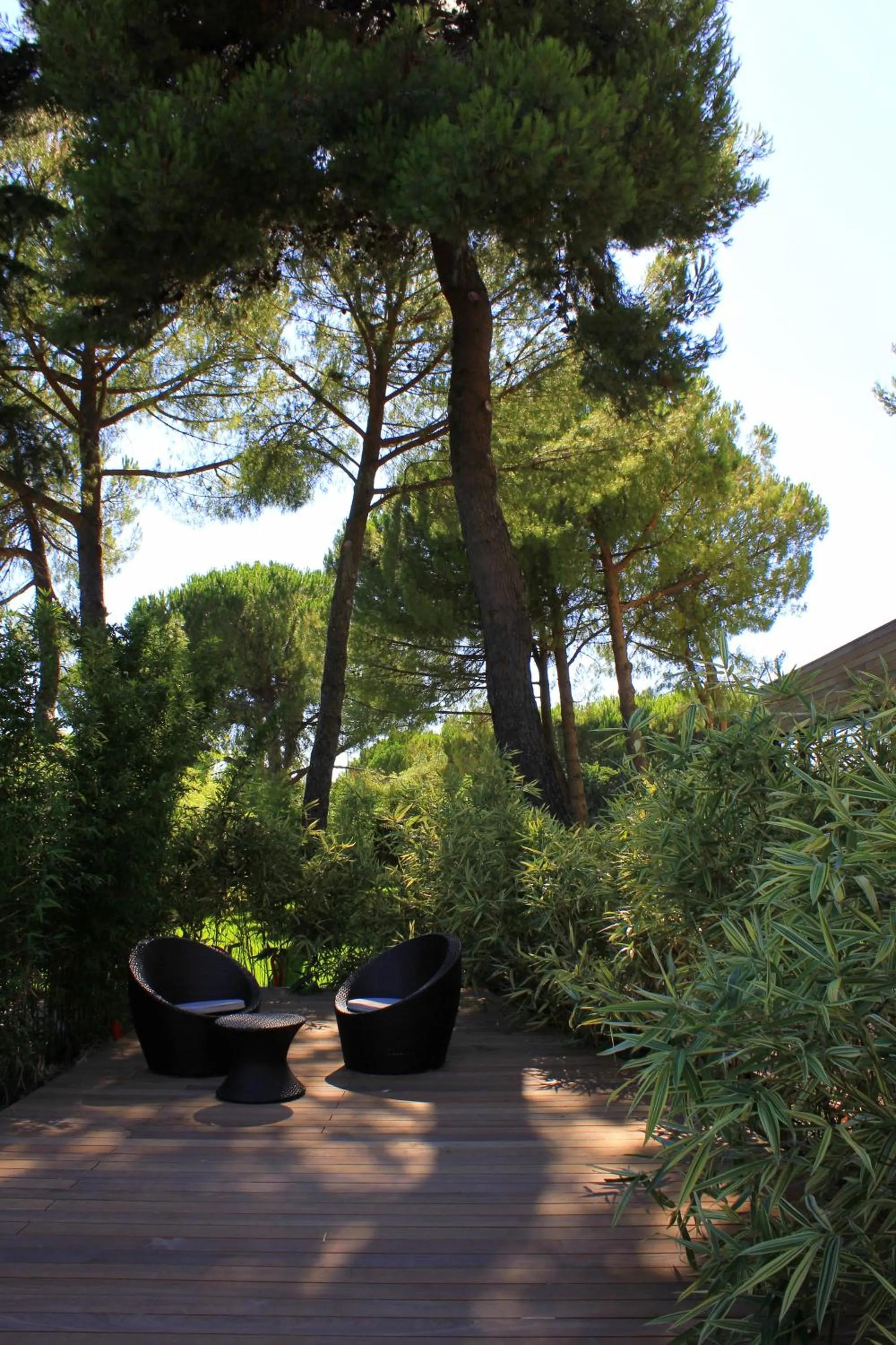 Garden in HÔTEL C SUITES chambres spacieuses