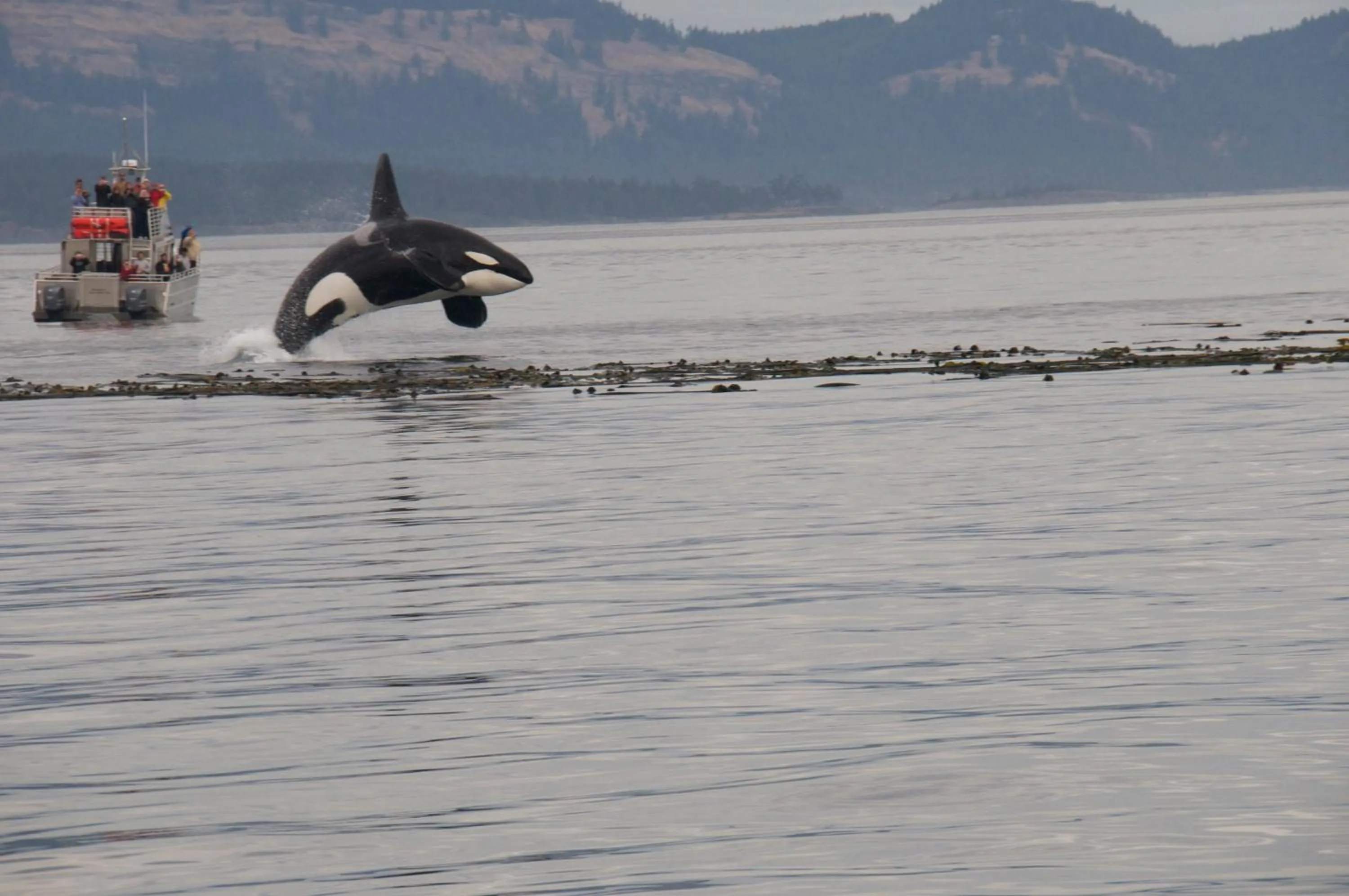 Area and facilities in West Beach Resort