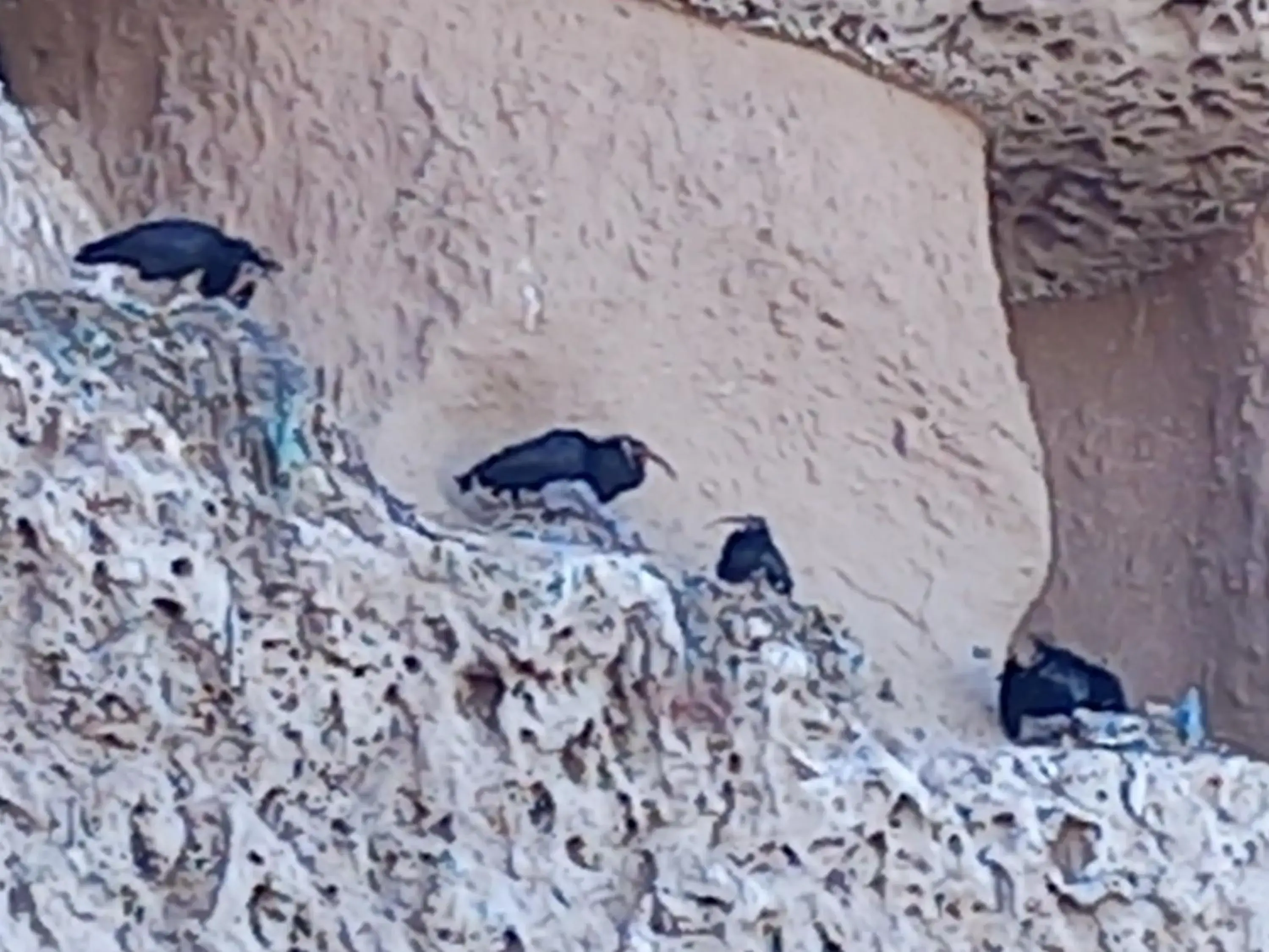 Résidence Fanti Résidence Fanti