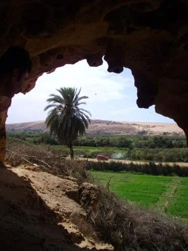 Area and facilities in Résidence Fanti