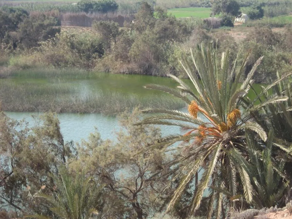 Area and facilities in Résidence Fanti