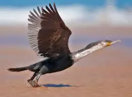 Other in Résidence Fanti