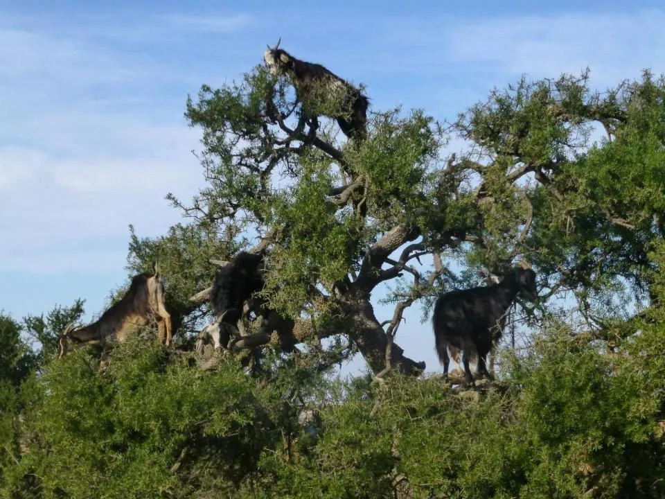 Area and facilities in Résidence Fanti