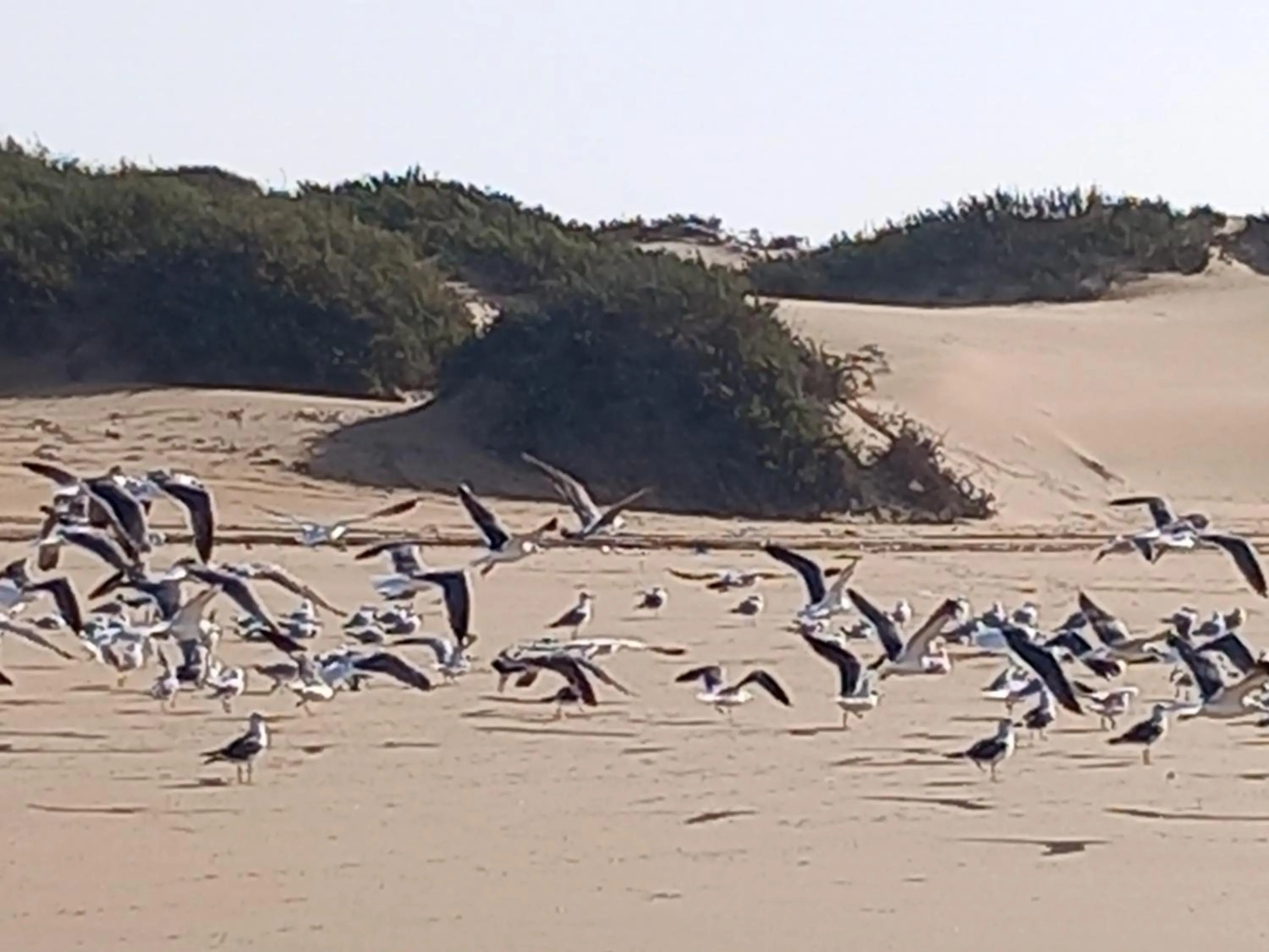Property building in Résidence Fanti
