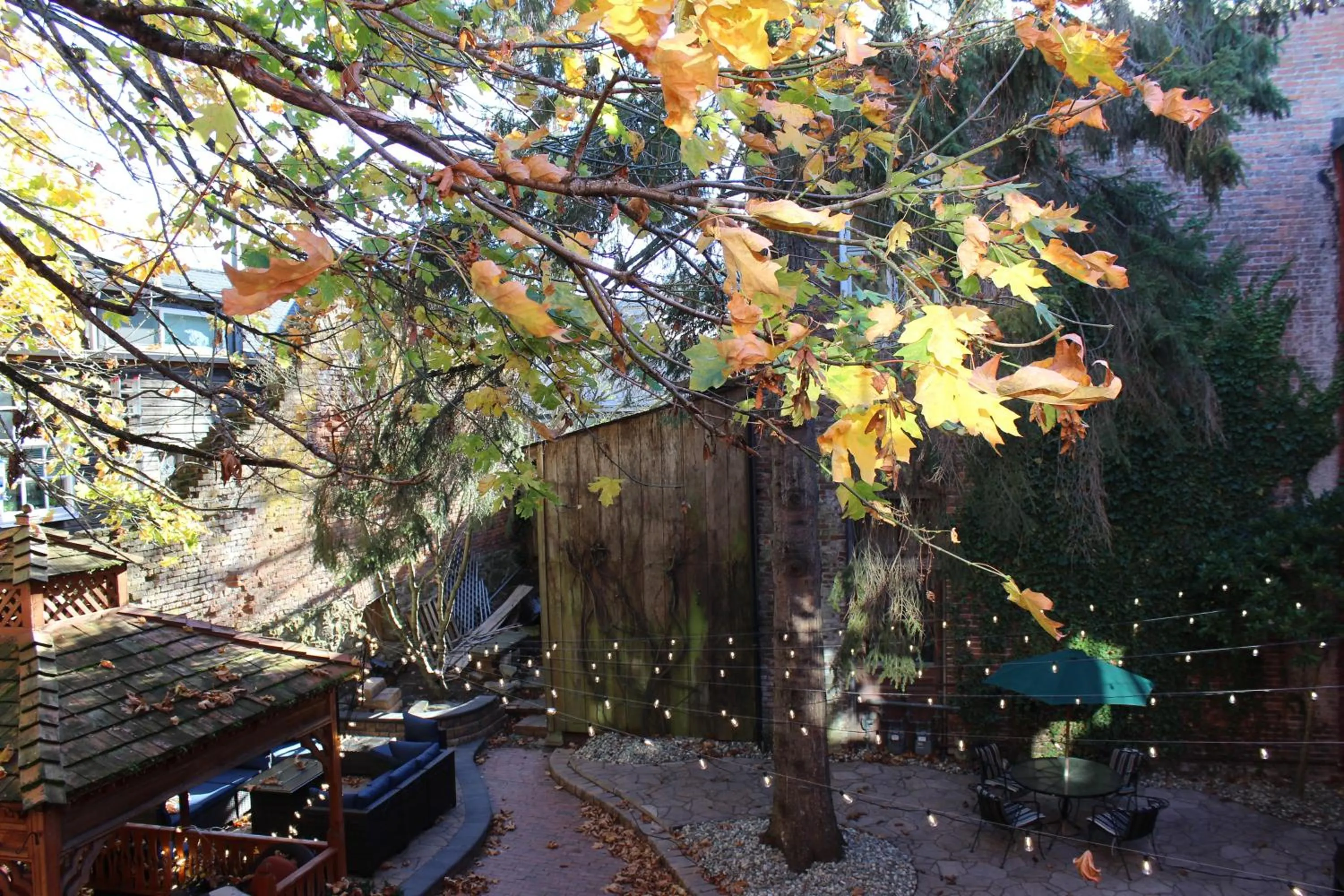 Spring in Hotel Planter