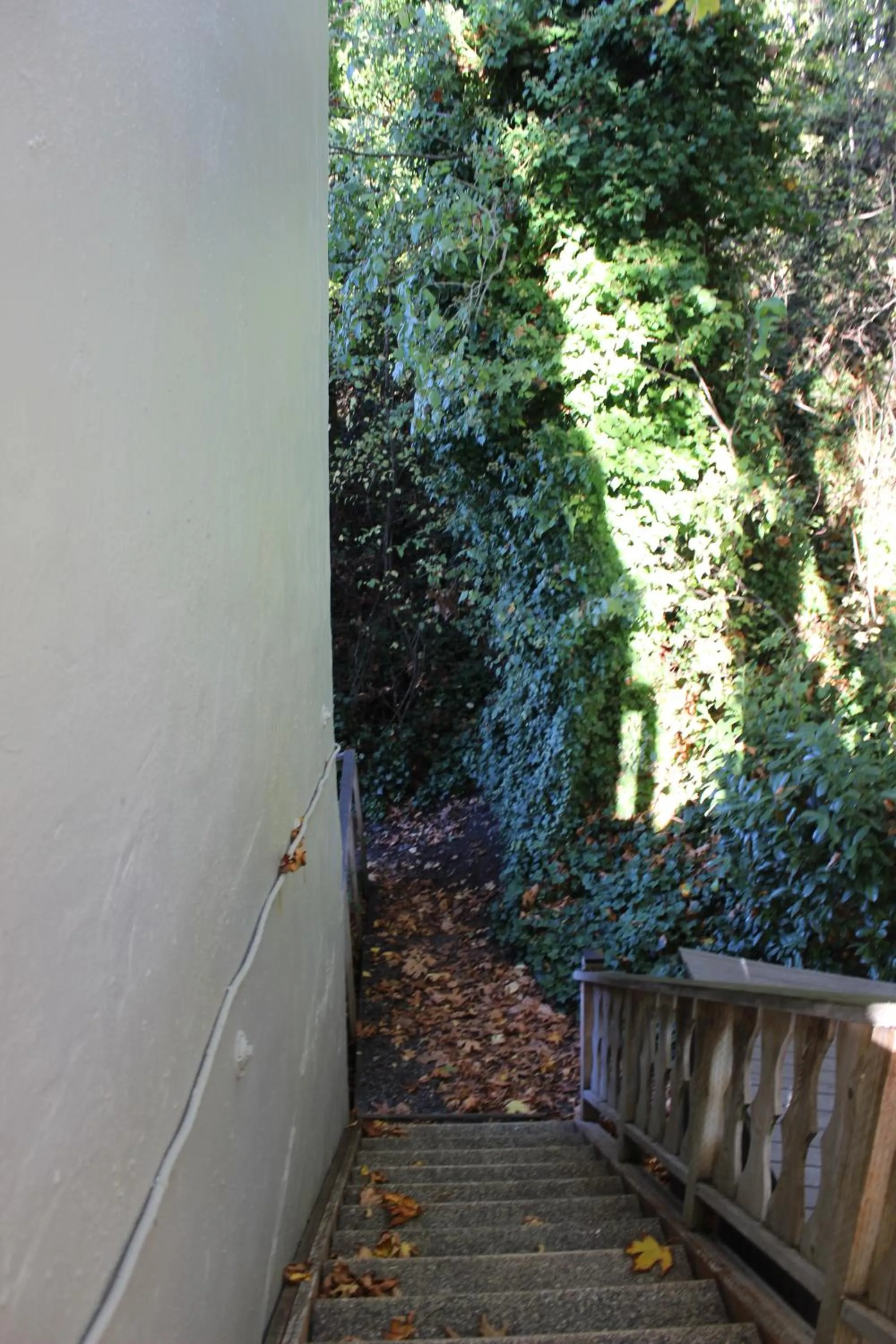 Spring in Hotel Planter