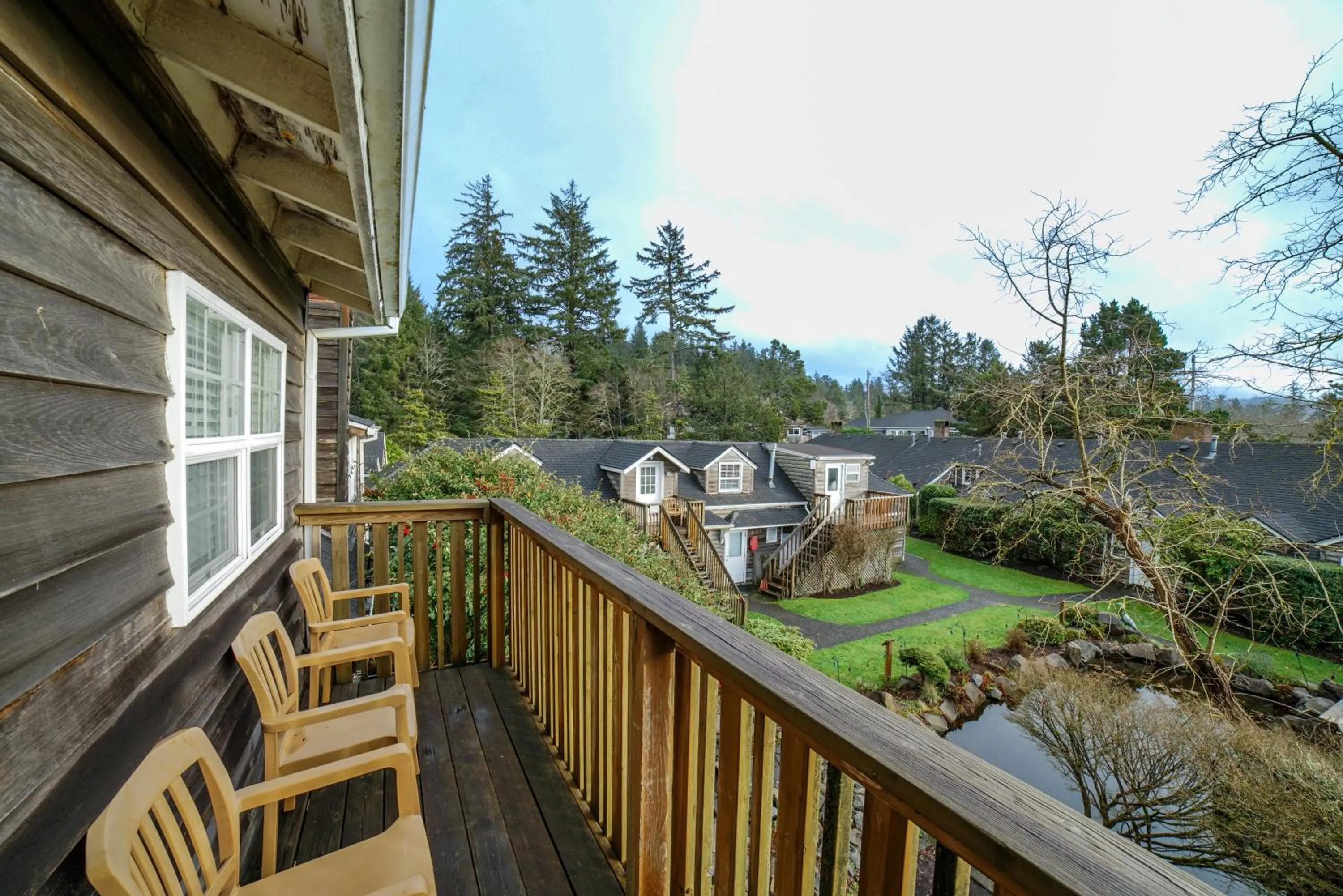View (from property/room) in Ecola Creek Lodge