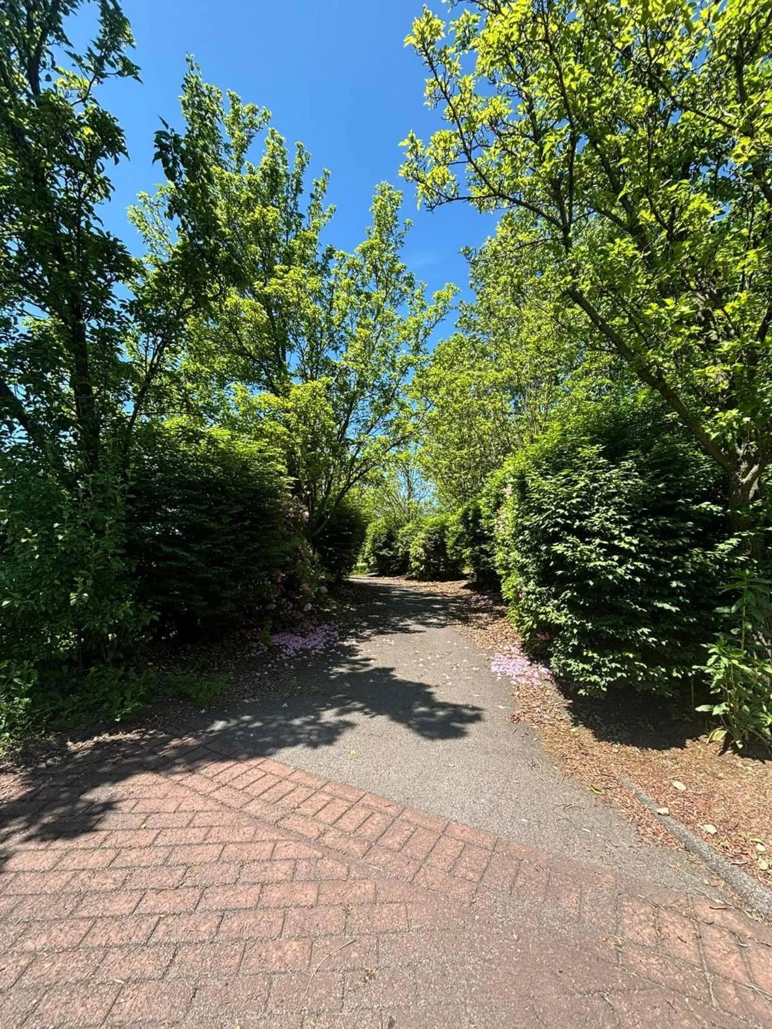 Garden in Best Western Plus Clarks Summit Scranton Hotel