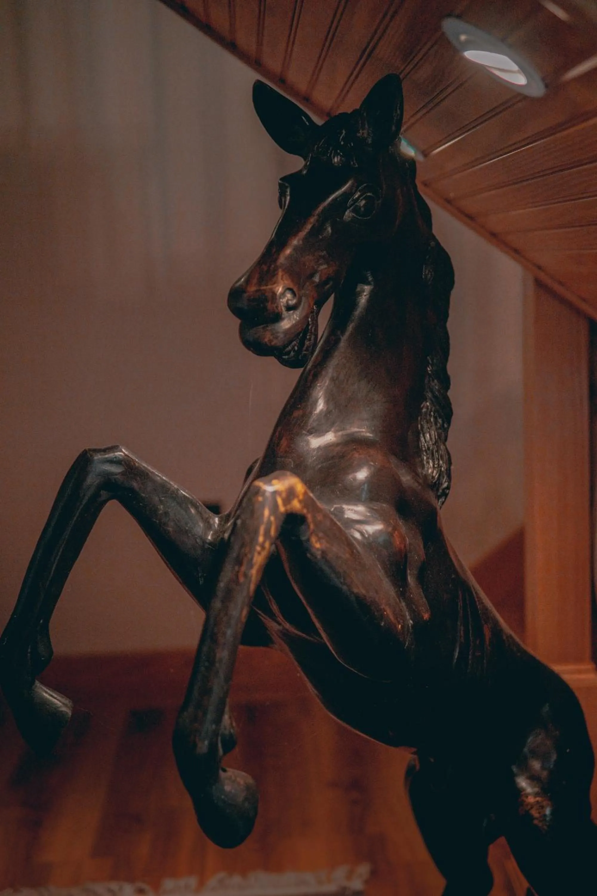 South Broadway Manor B&B - Near Fallingwater, Ohiopyle State Park, Hiking & Biking trails GAP