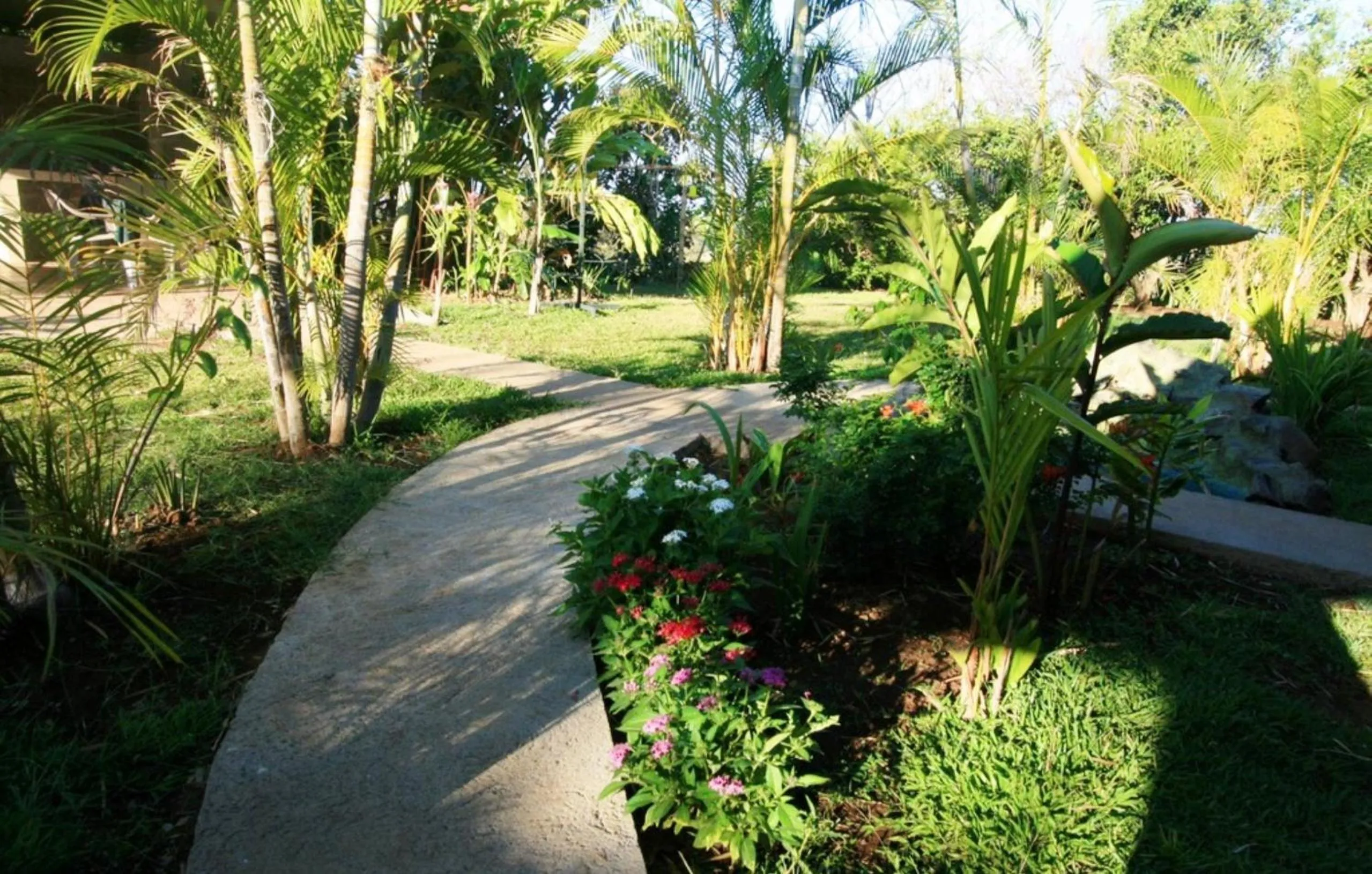 Garden view in B&B Garden Grecia