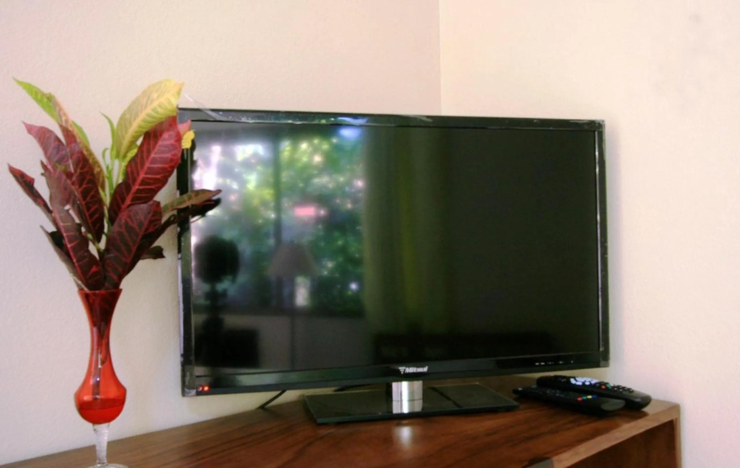 TV and multimedia in B&B Garden Grecia