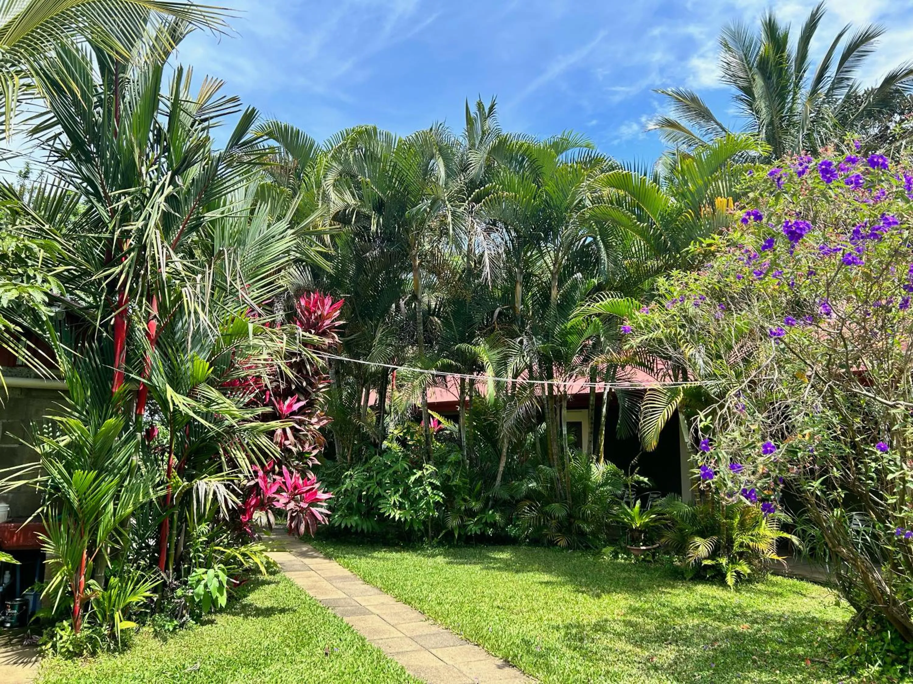 Garden in B&B Garden Grecia