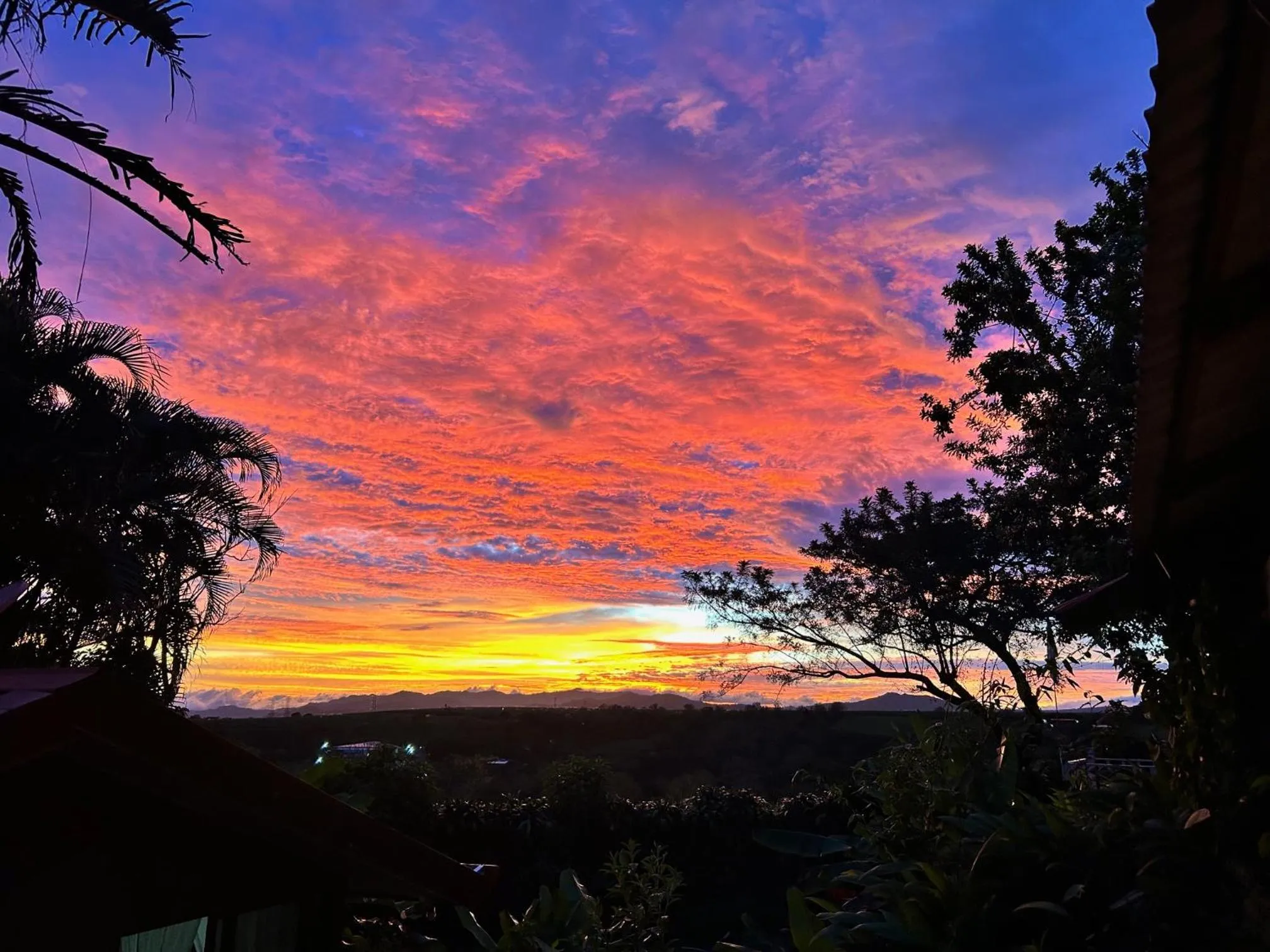 View (from property/room) in B&B Garden Grecia