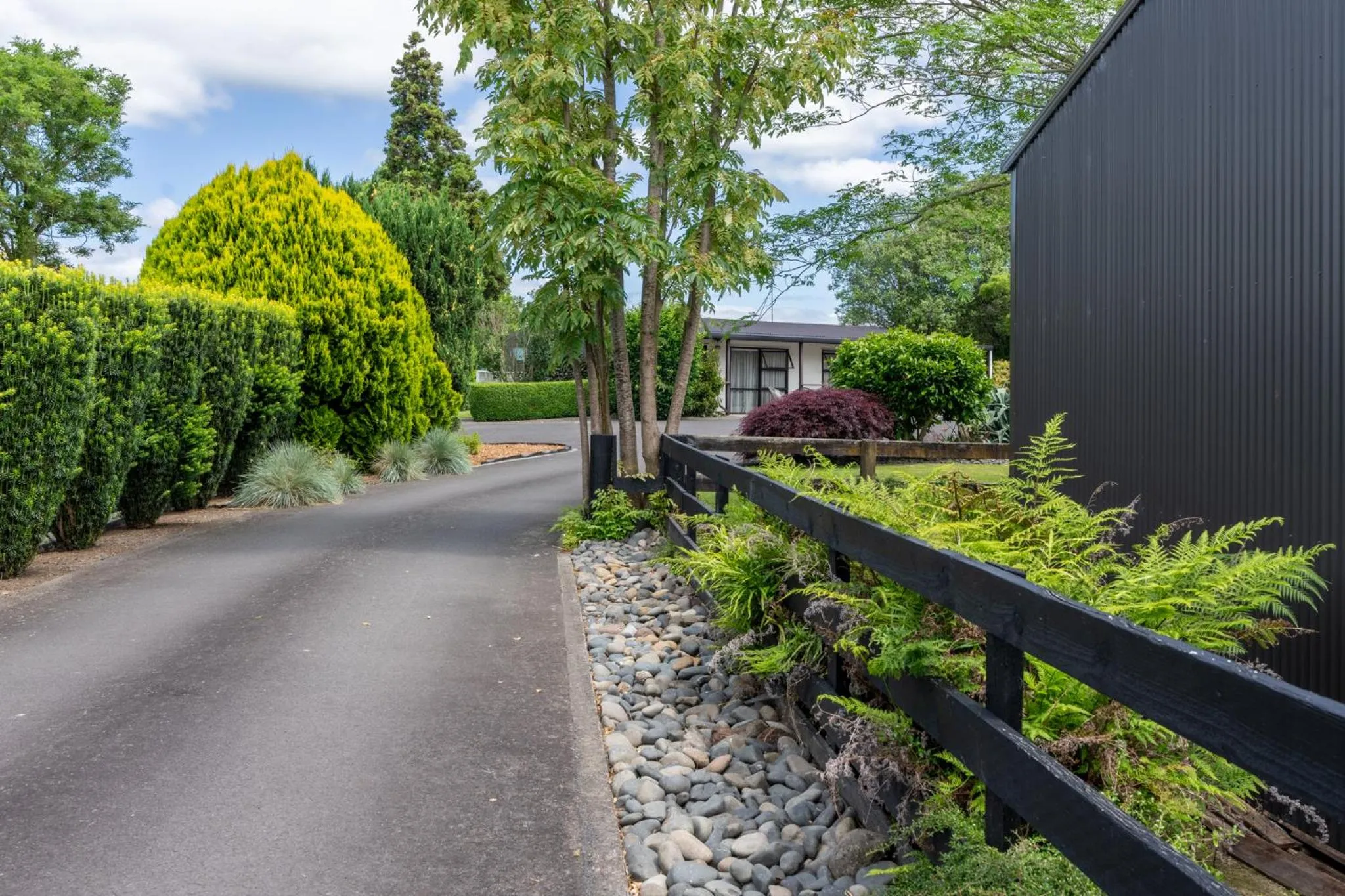 Garden in 73 Milton Accommodation