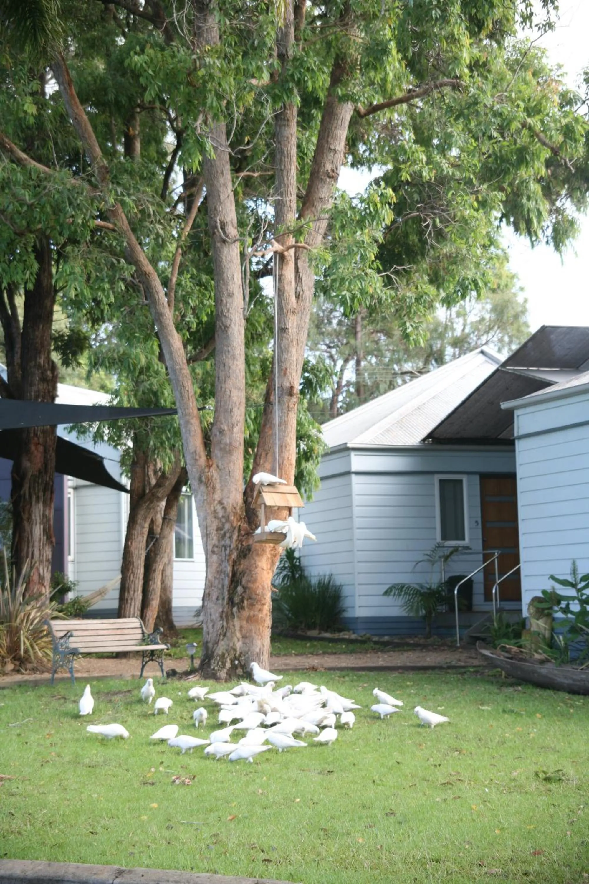 Facade/entrance in Huskisson Holiday Motel Cabins