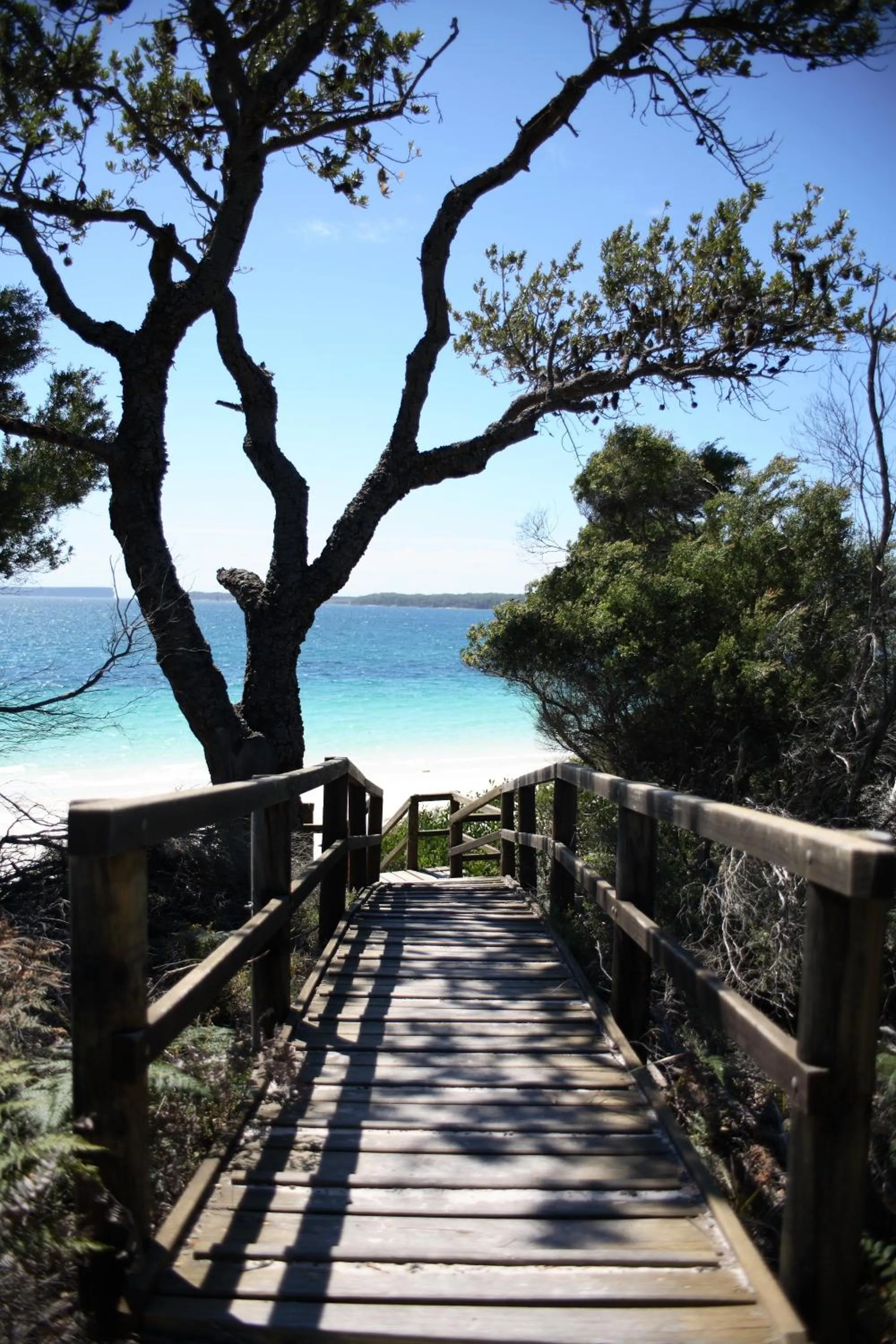 Facade/entrance in Huskisson Holiday Motel Cabins