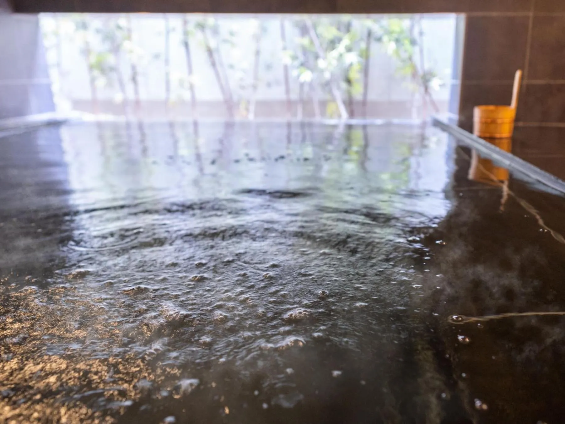 Public Bath in Super Hotel Shinagawa Shinbanba