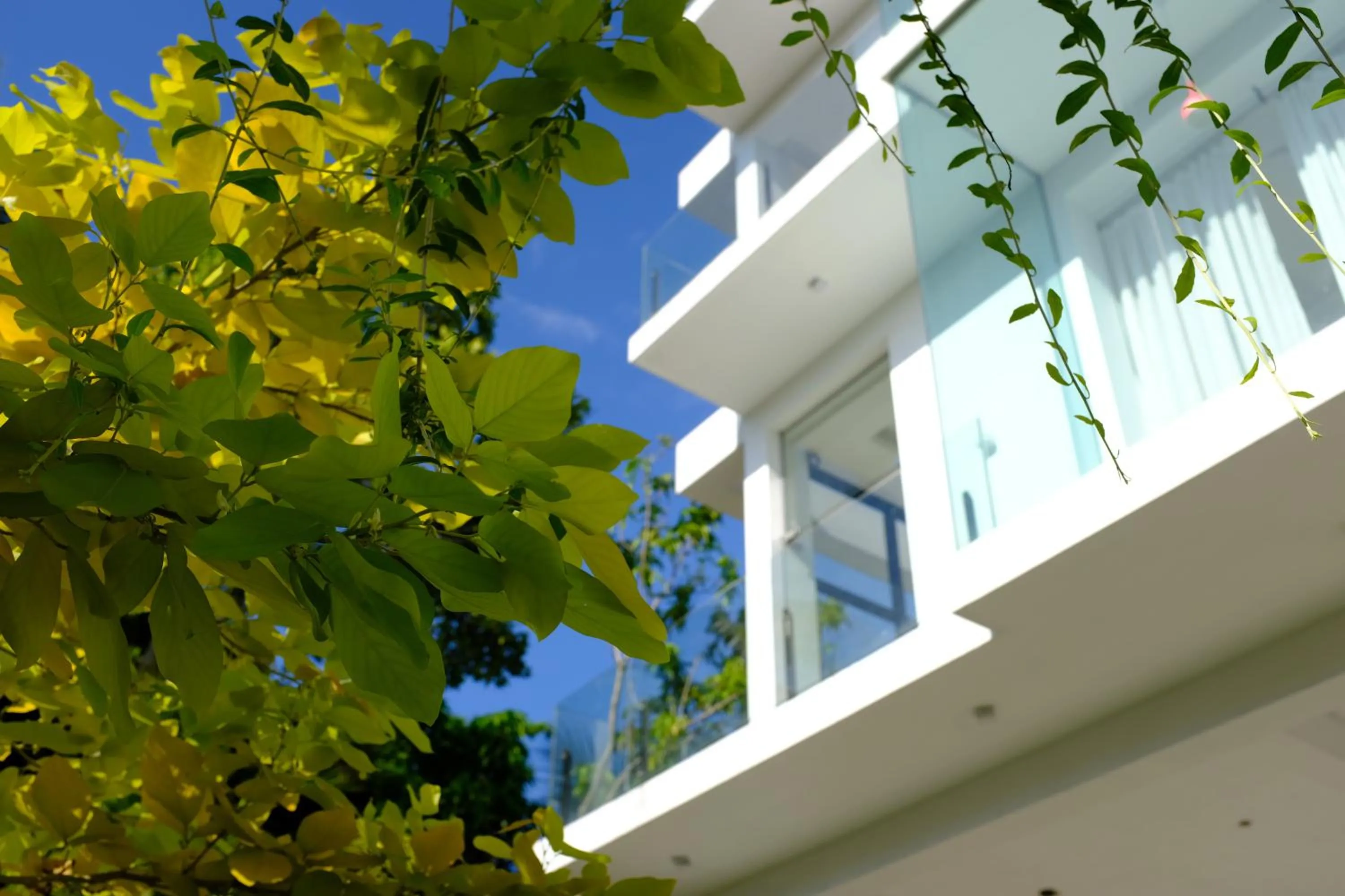 Property building in Mzion Hotel Weligama