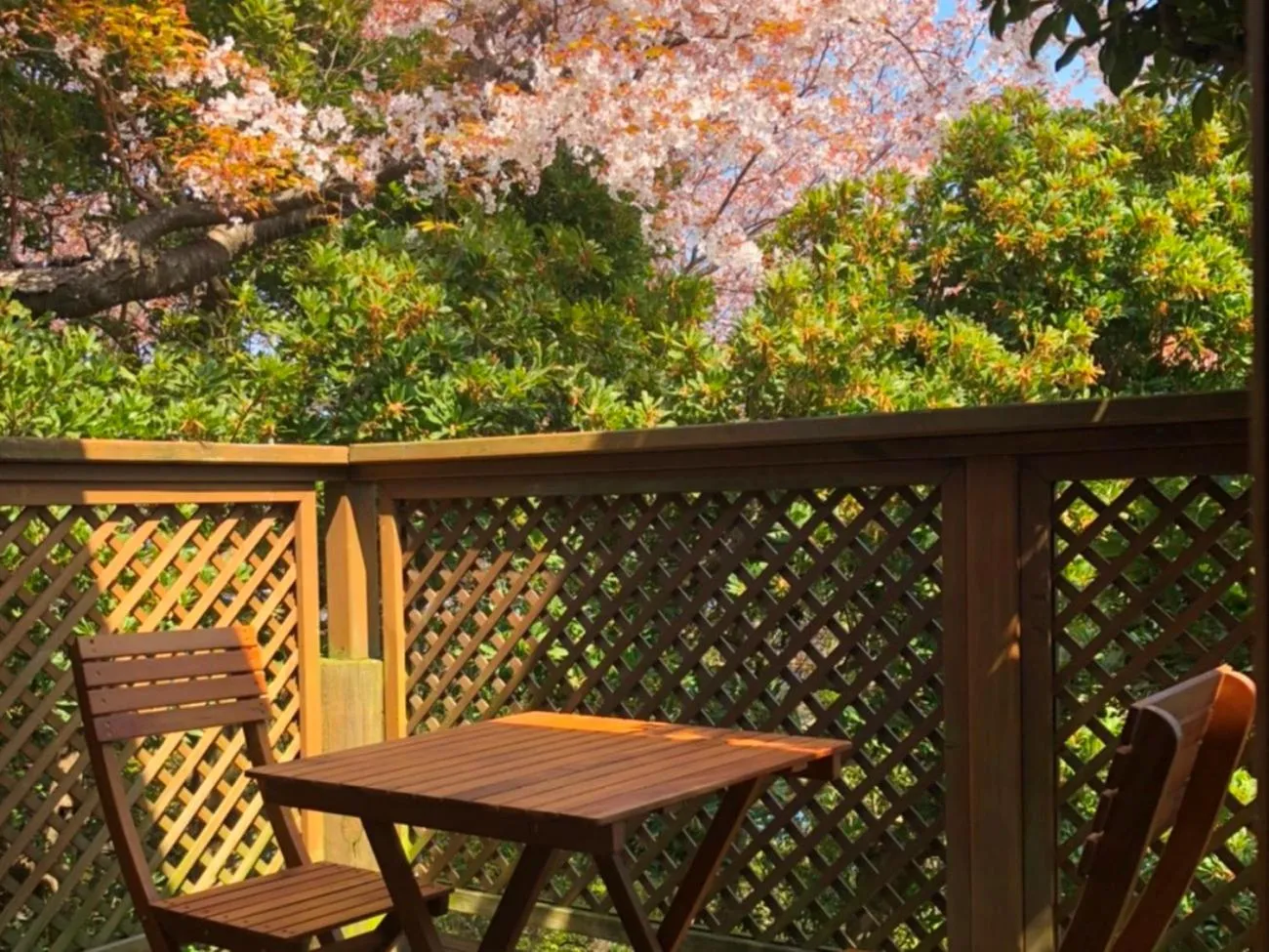 Balcony/Terrace in Chidorian