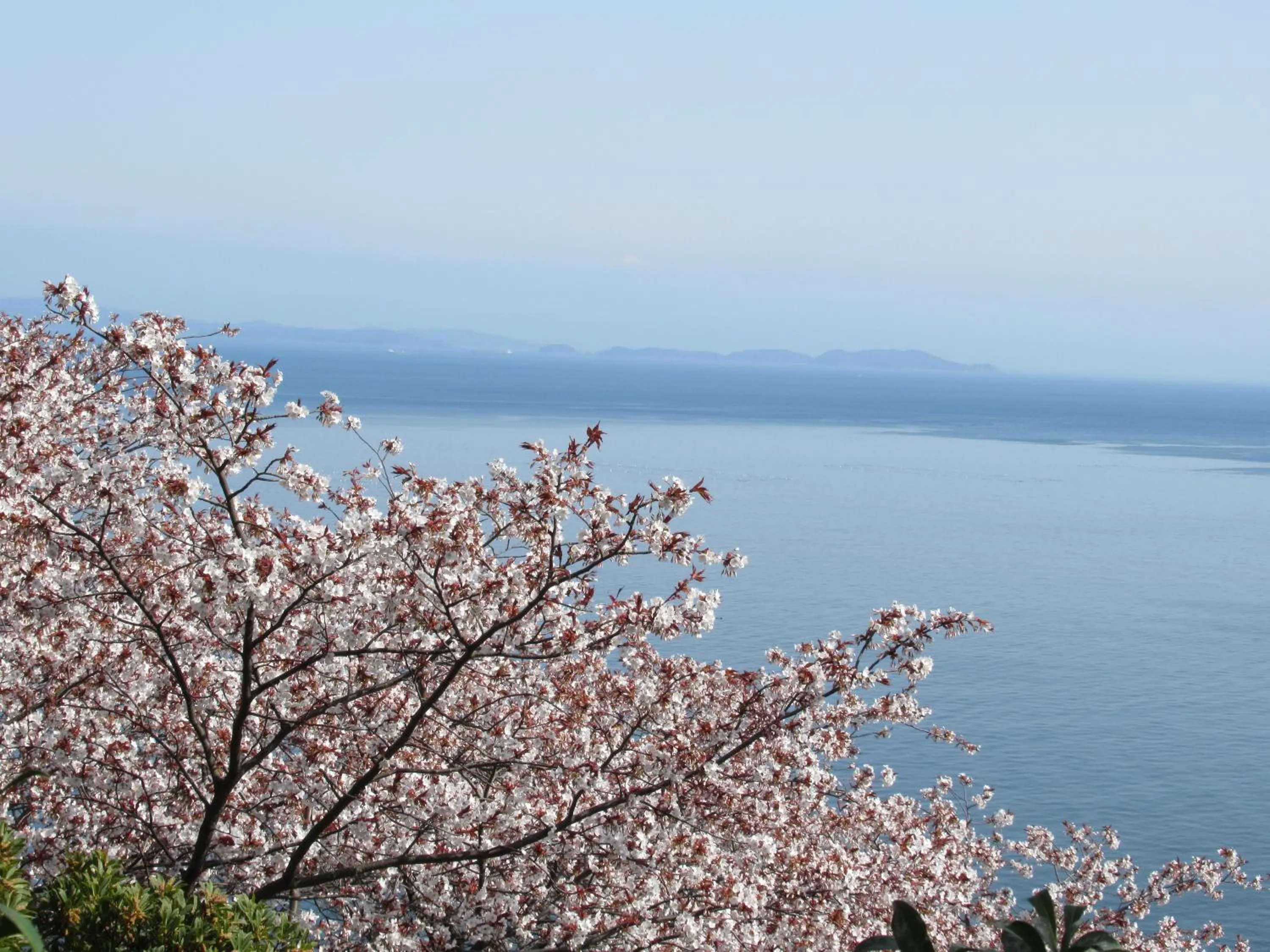 Natural landscape in Chidorian