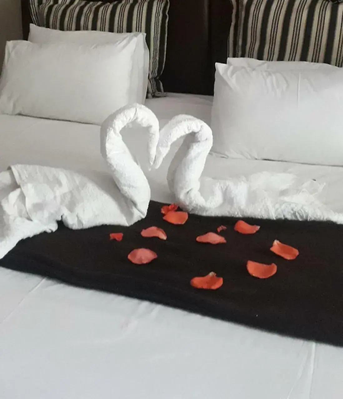 Suite with Garden View - single occupancy in Aviators Retreat B&B Suite with Garden View - single occupancy in Aviators Retreat B&B