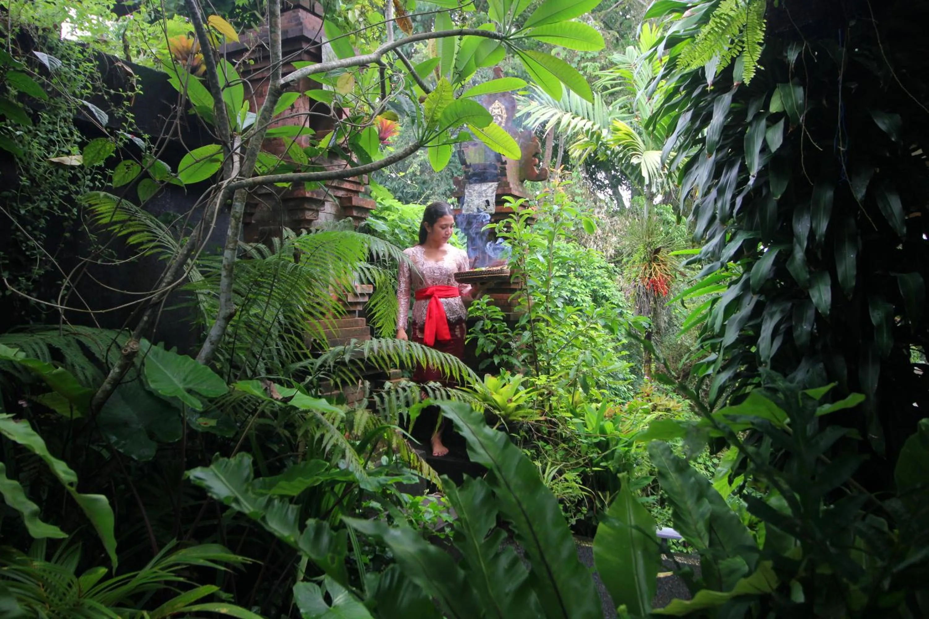 Garden in Sari Gong Guest House, A Trishula Collection