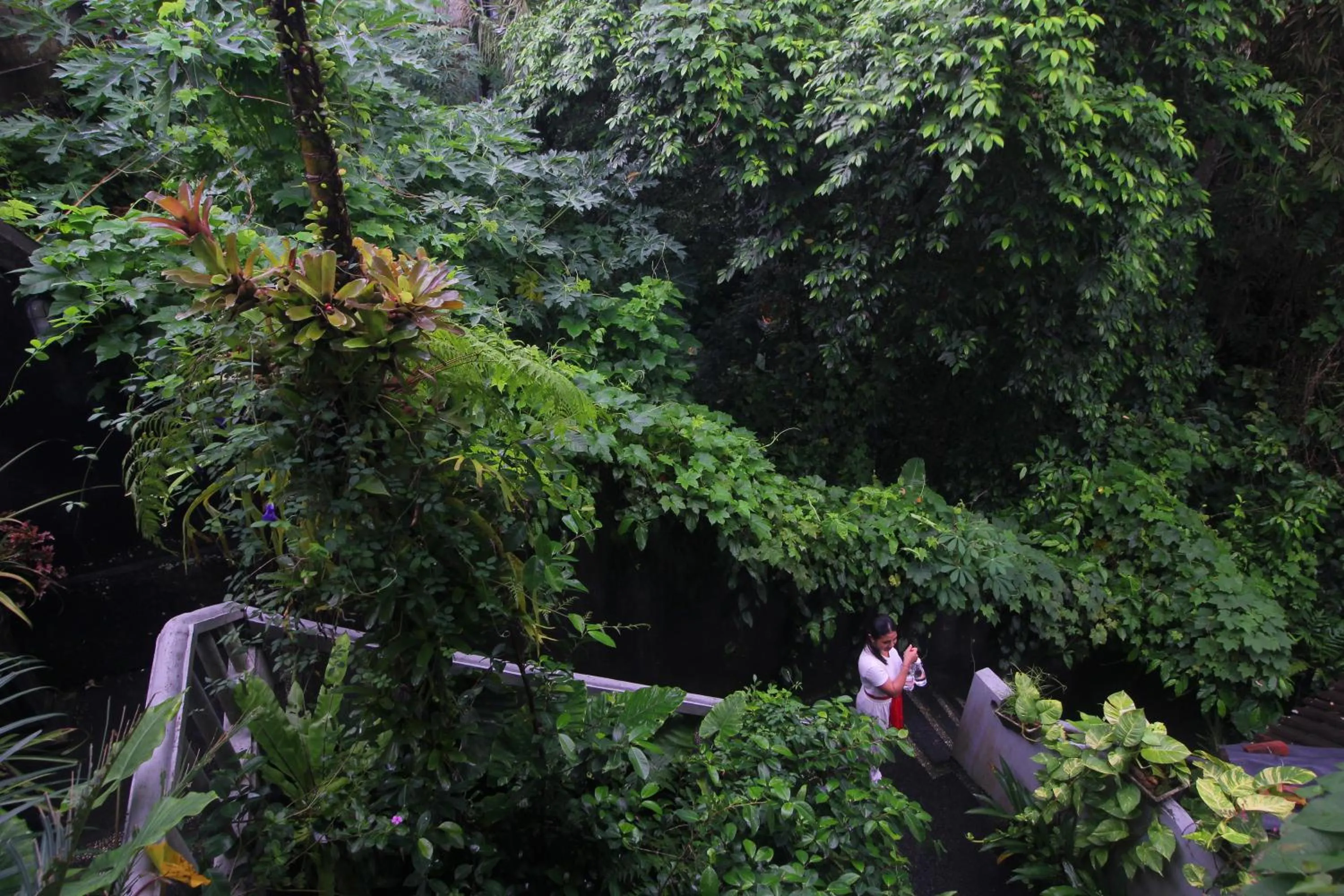 Garden in Sari Gong Guest House, A Trishula Collection