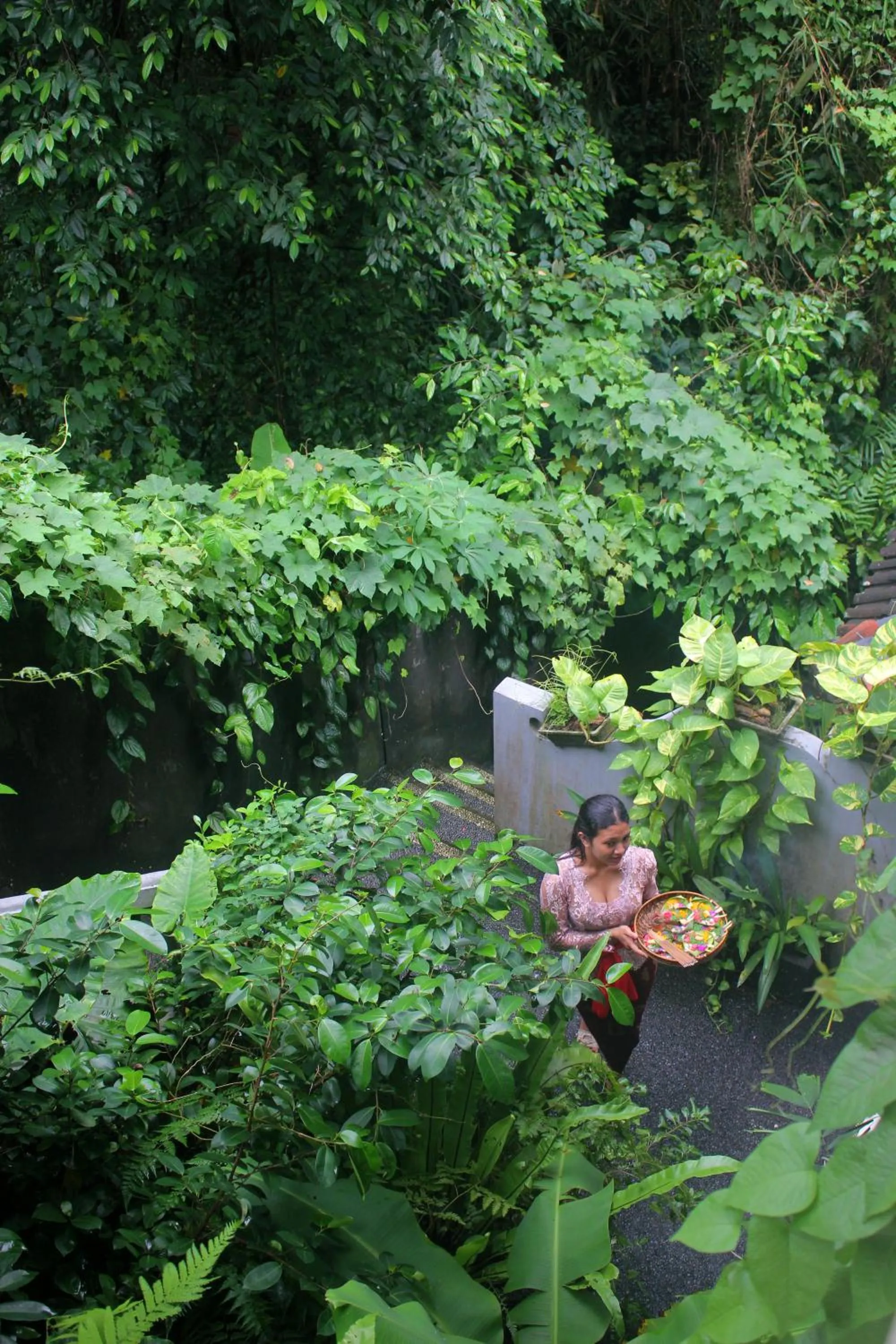 Garden in Sari Gong Guest House, A Trishula Collection