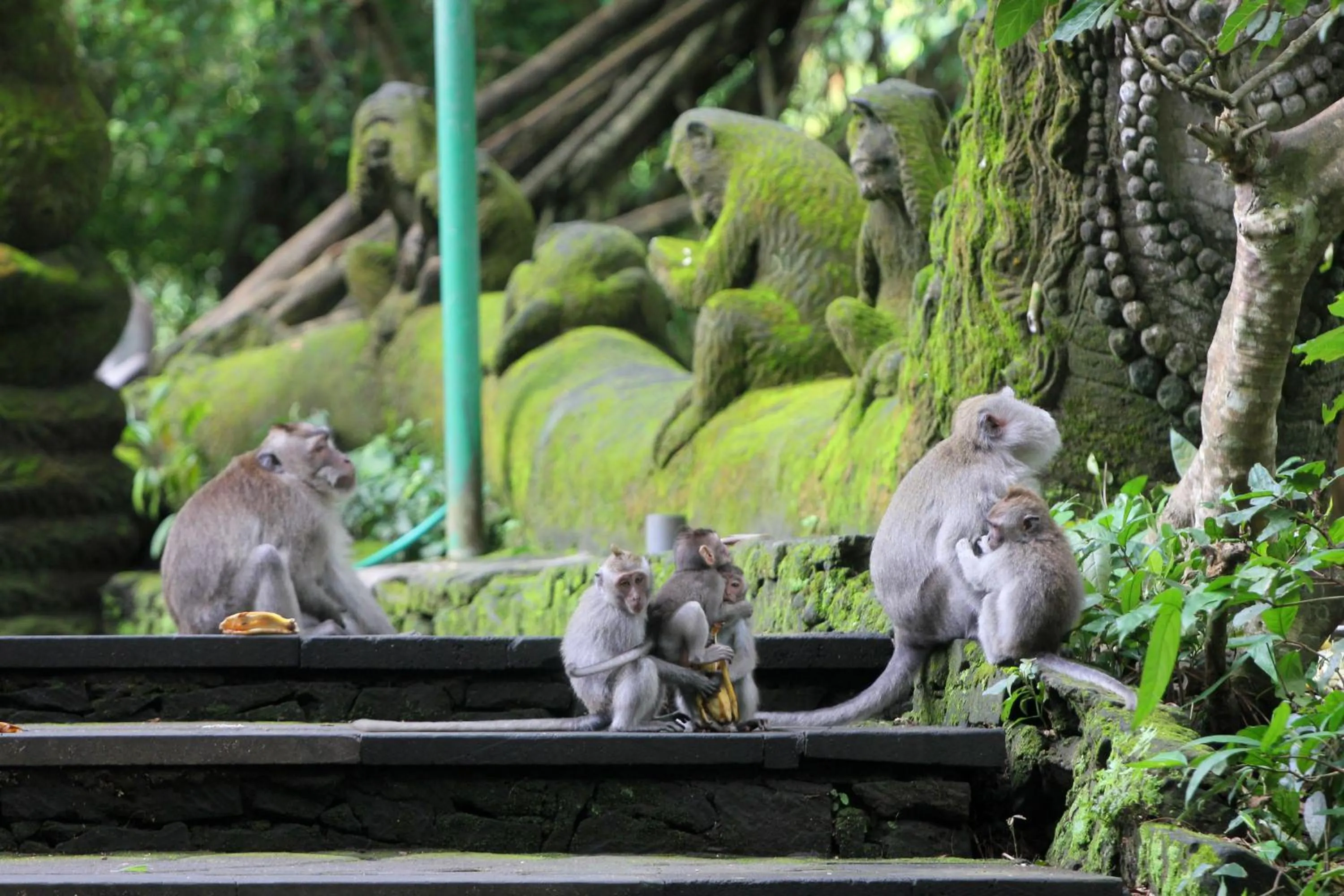 Property building in Sari Gong Guest House, A Trishula Collection