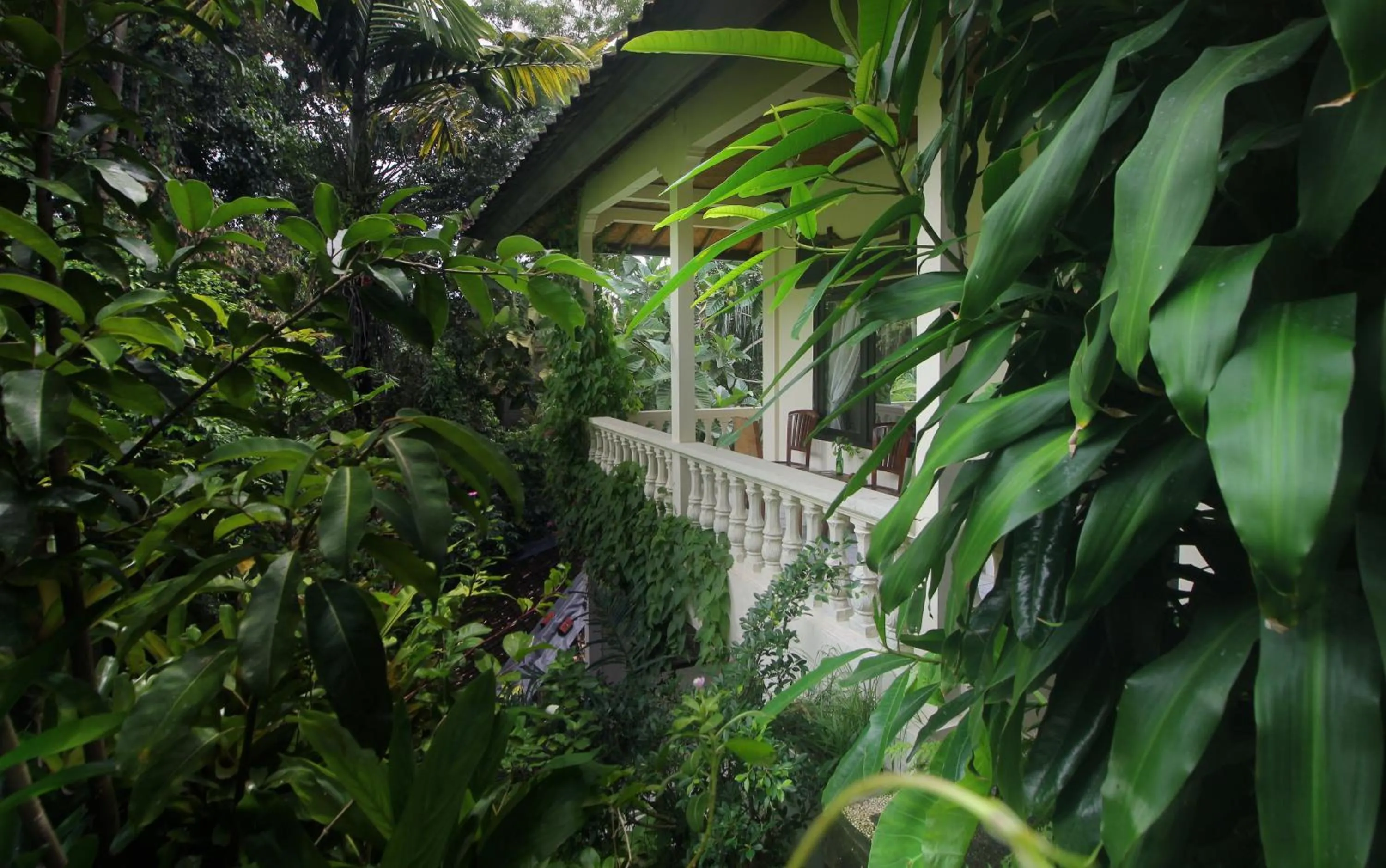 Balcony/Terrace in Sari Gong Guest House, A Trishula Collection