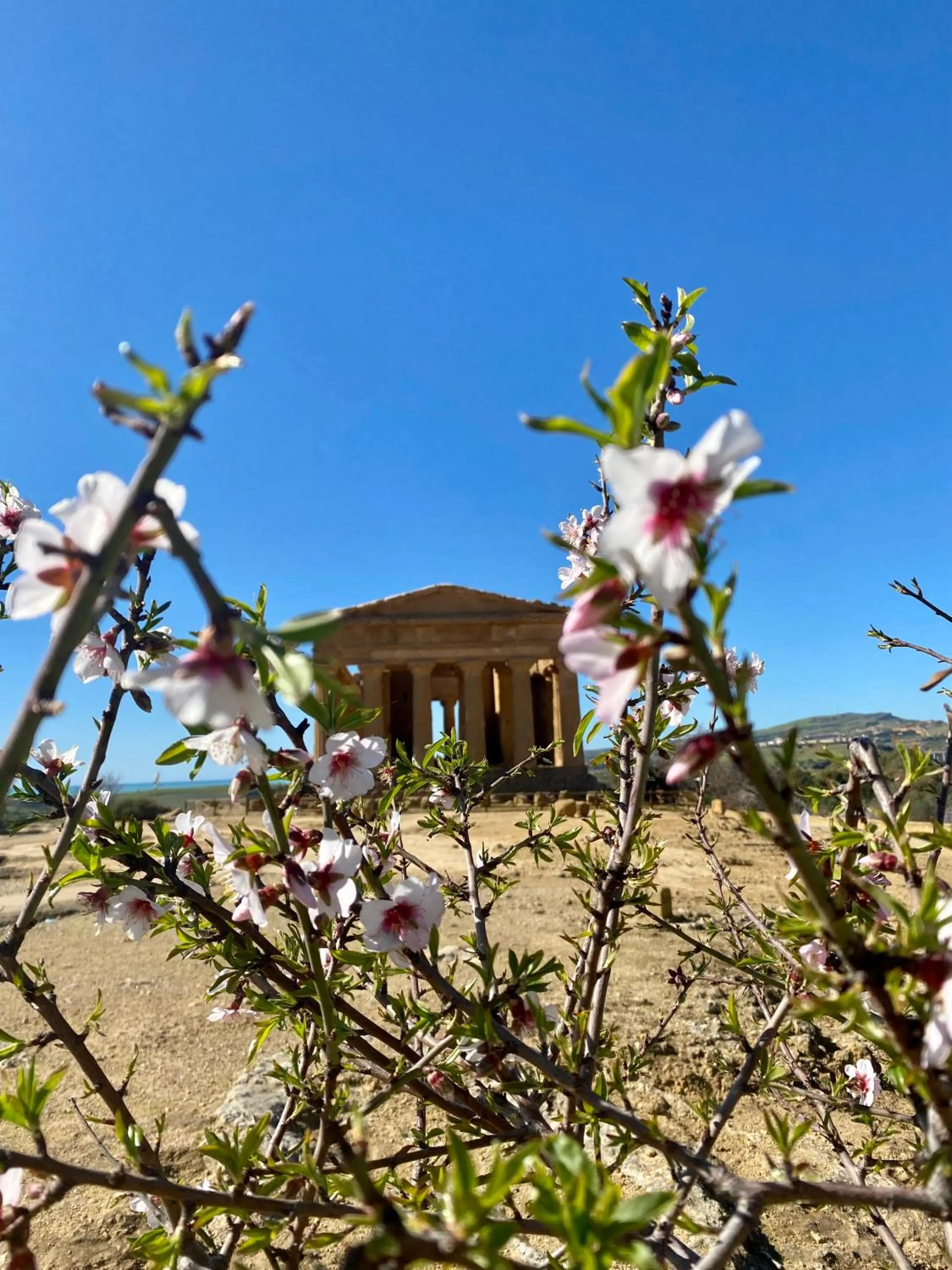 Nearby landmark in B&B Le Sorelle