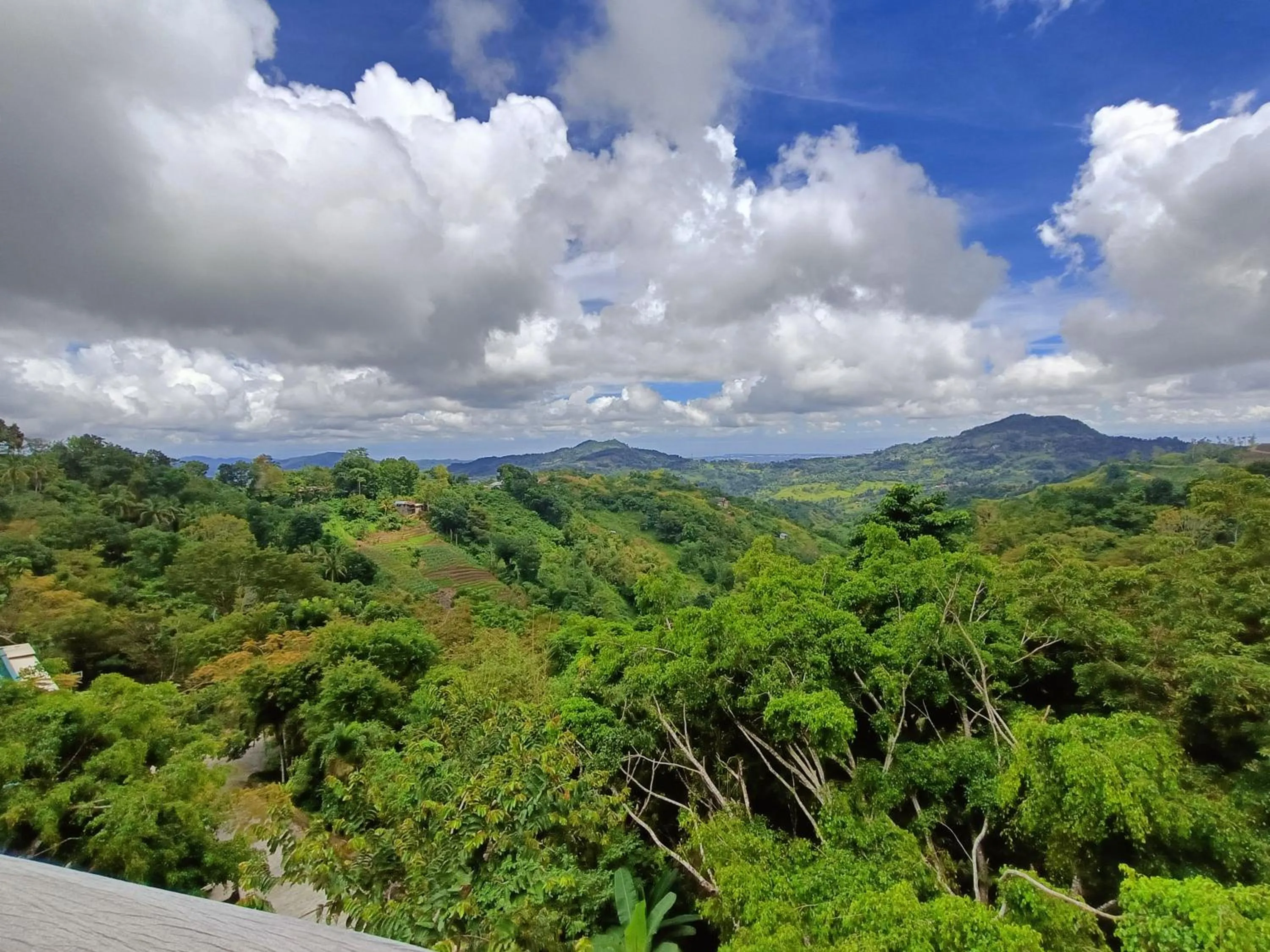 Day in Mist Mountain Resort powered by Cocotel