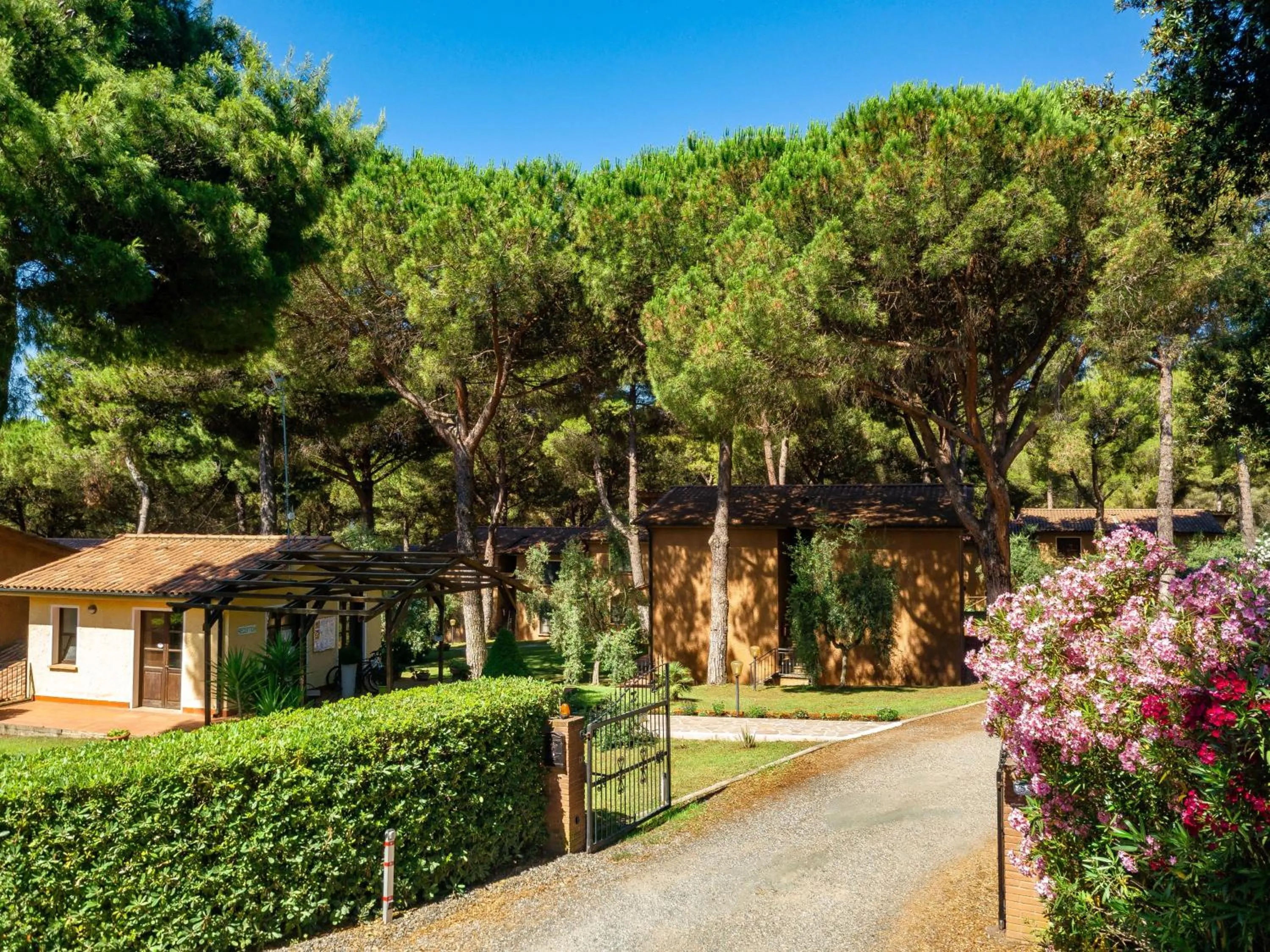 Property building in Residence with swimming-pool in Guardistallo surrounded by Nature