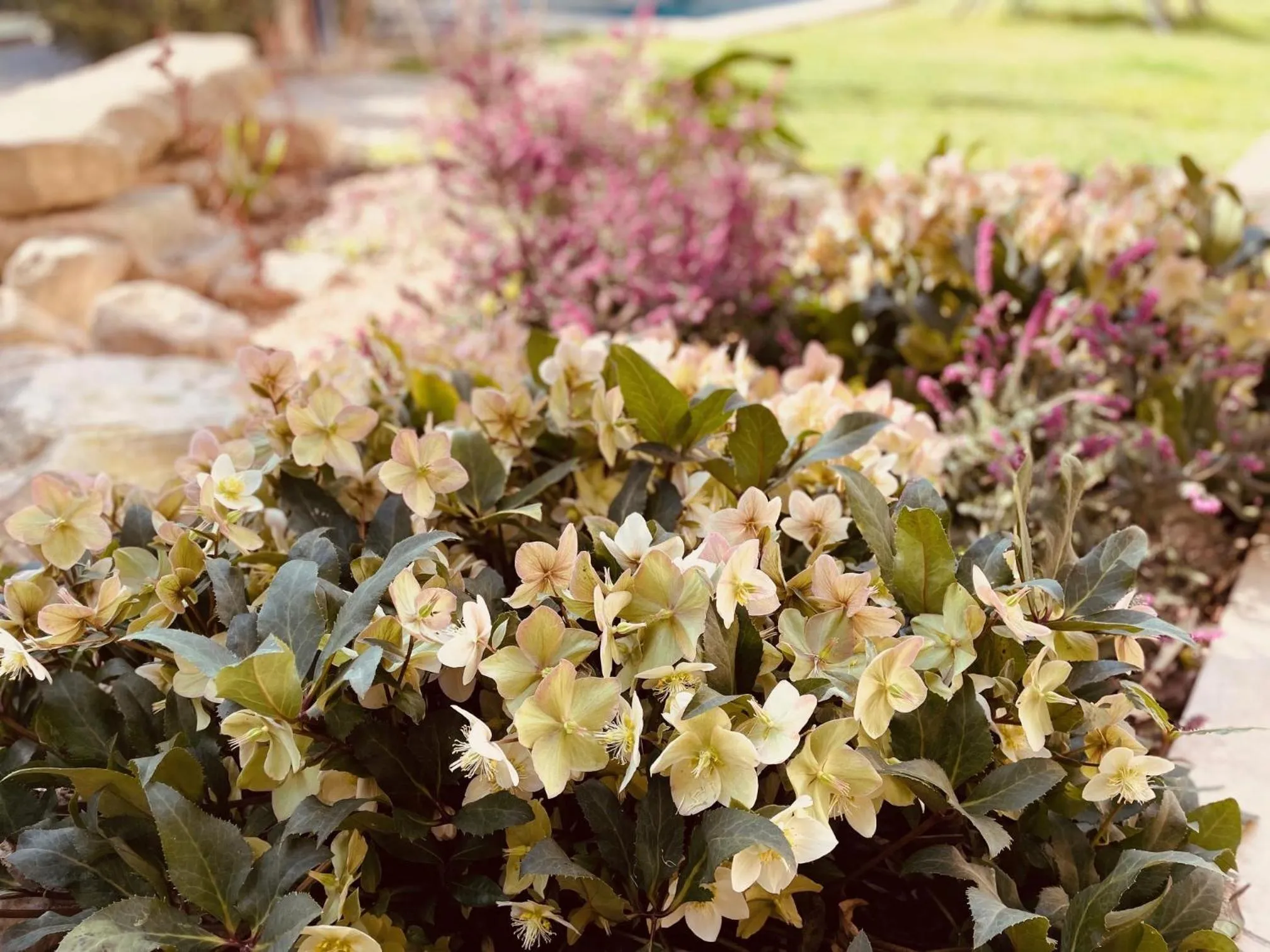 Garden in B&B Temps Suspendu Provence