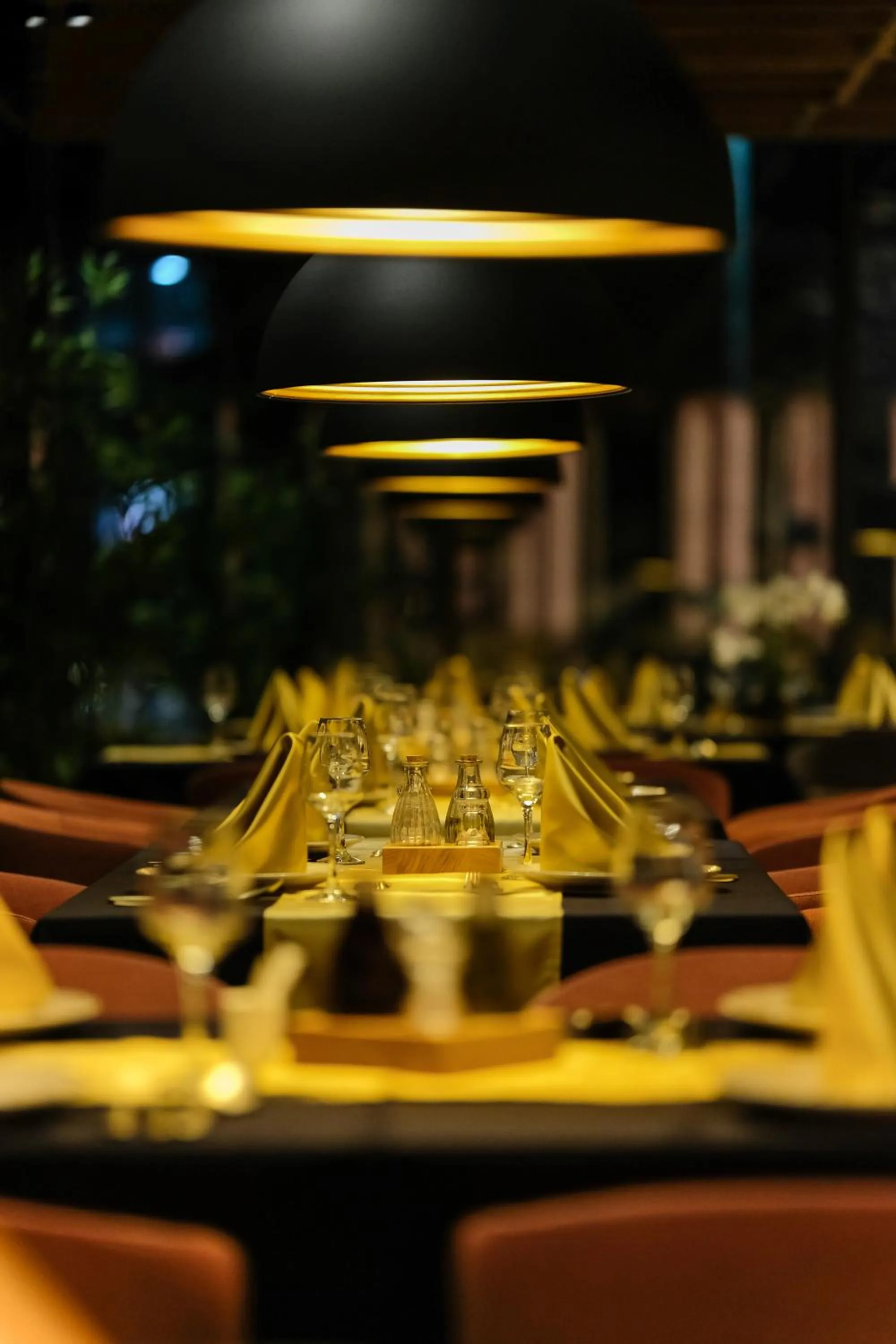 Restaurant/places to eat in Hotel Vema