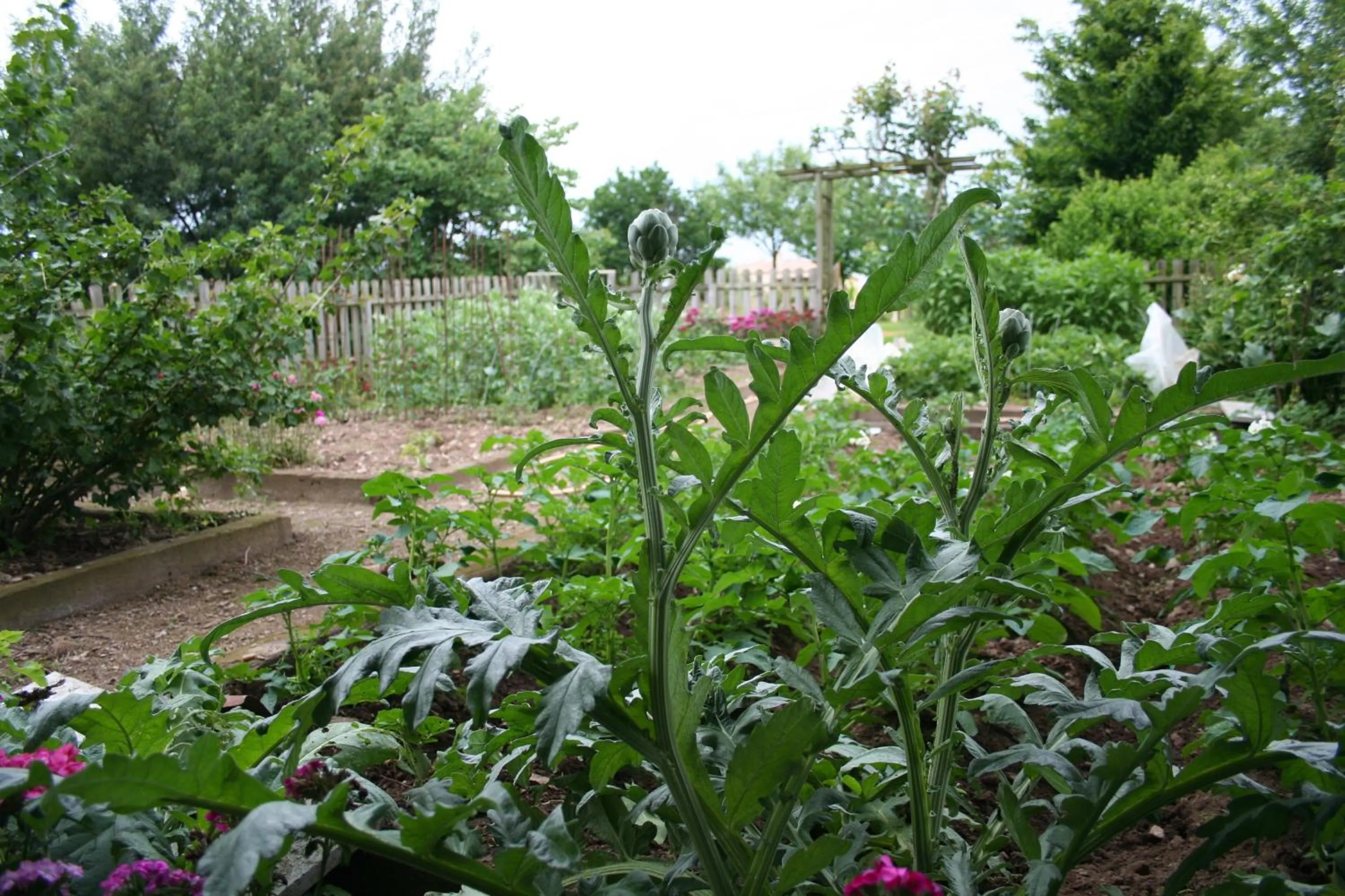 Garden in Une Chambre à la Campagne