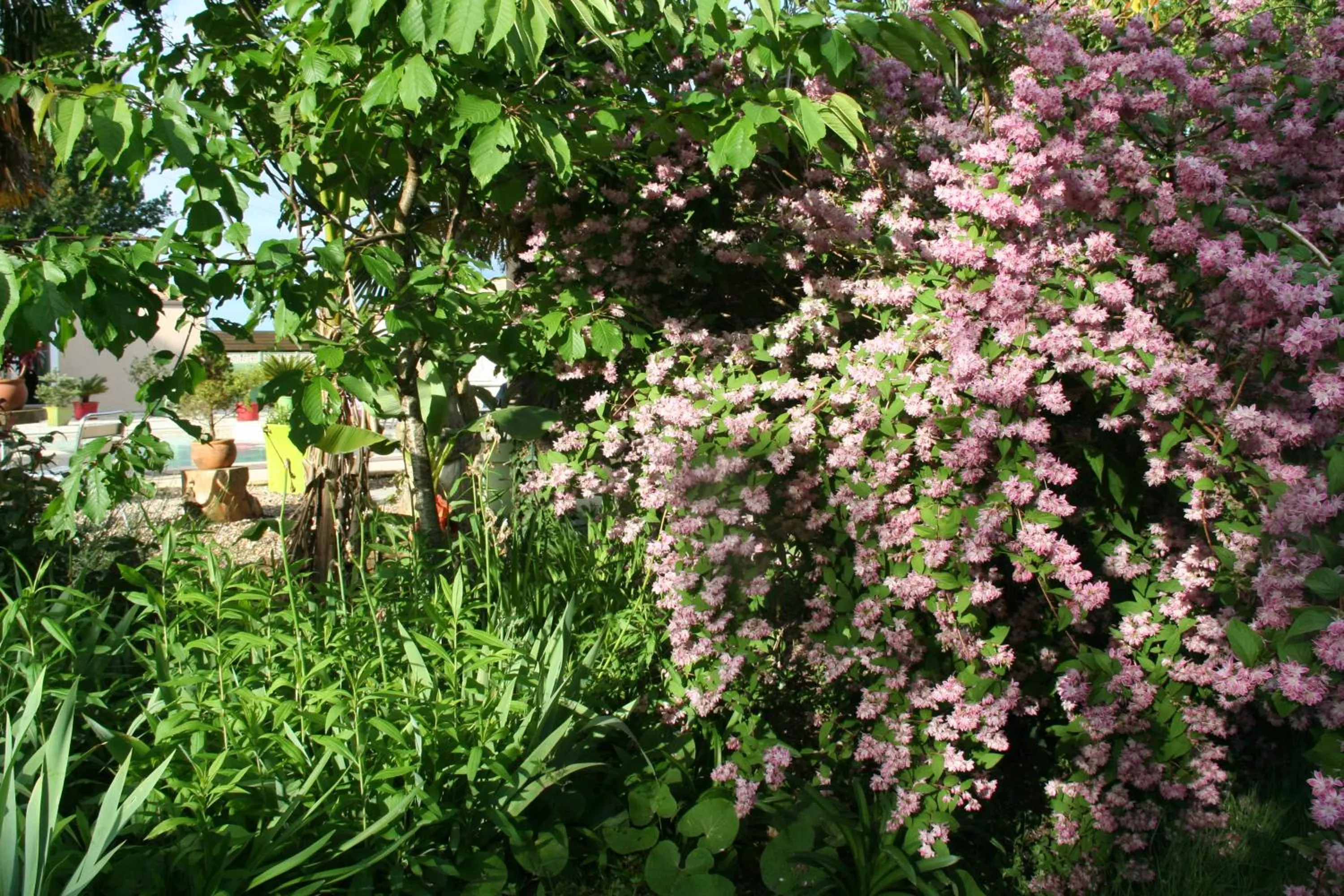 Une Chambre à la Campagne